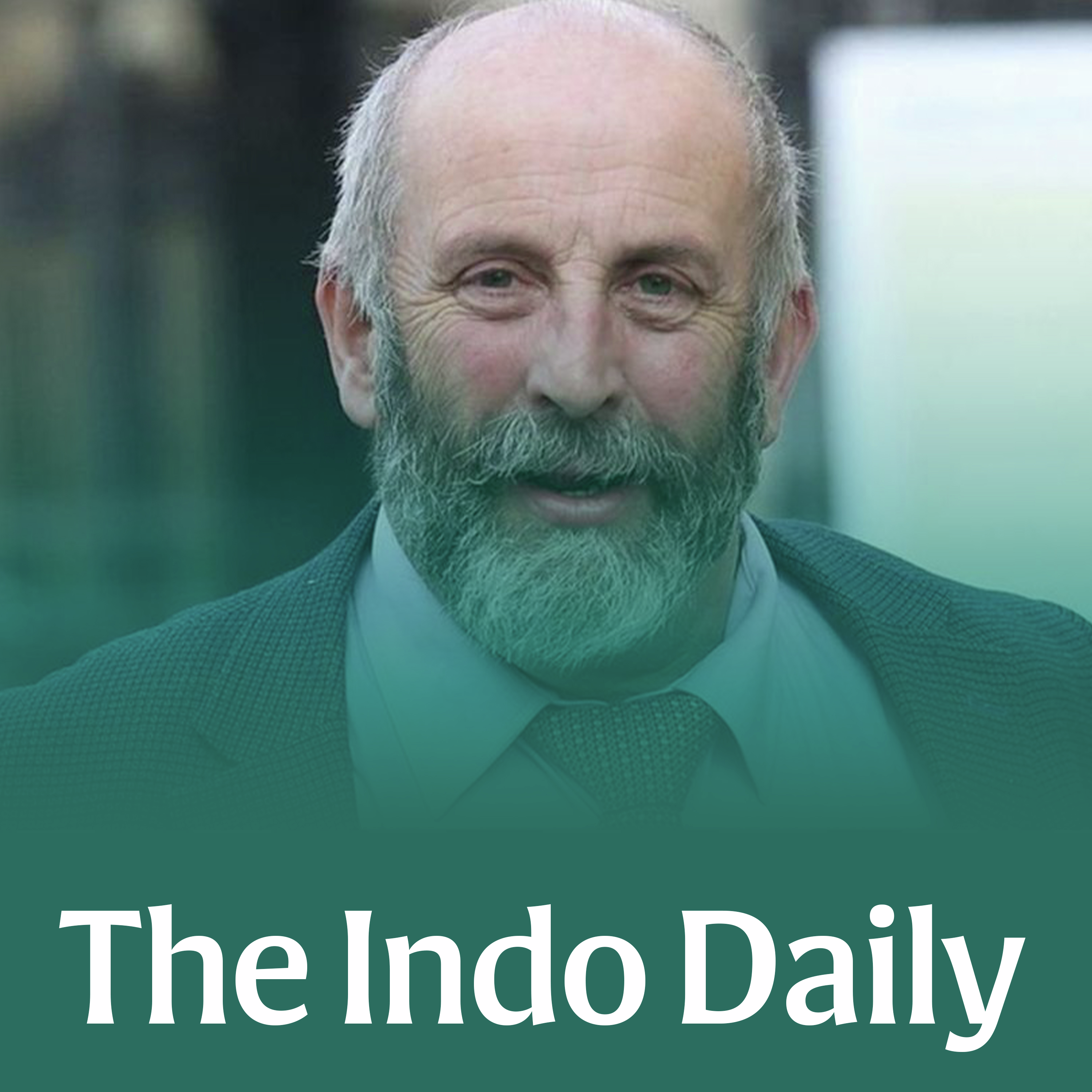 Election fraudster linked to Healy-Rae family firm