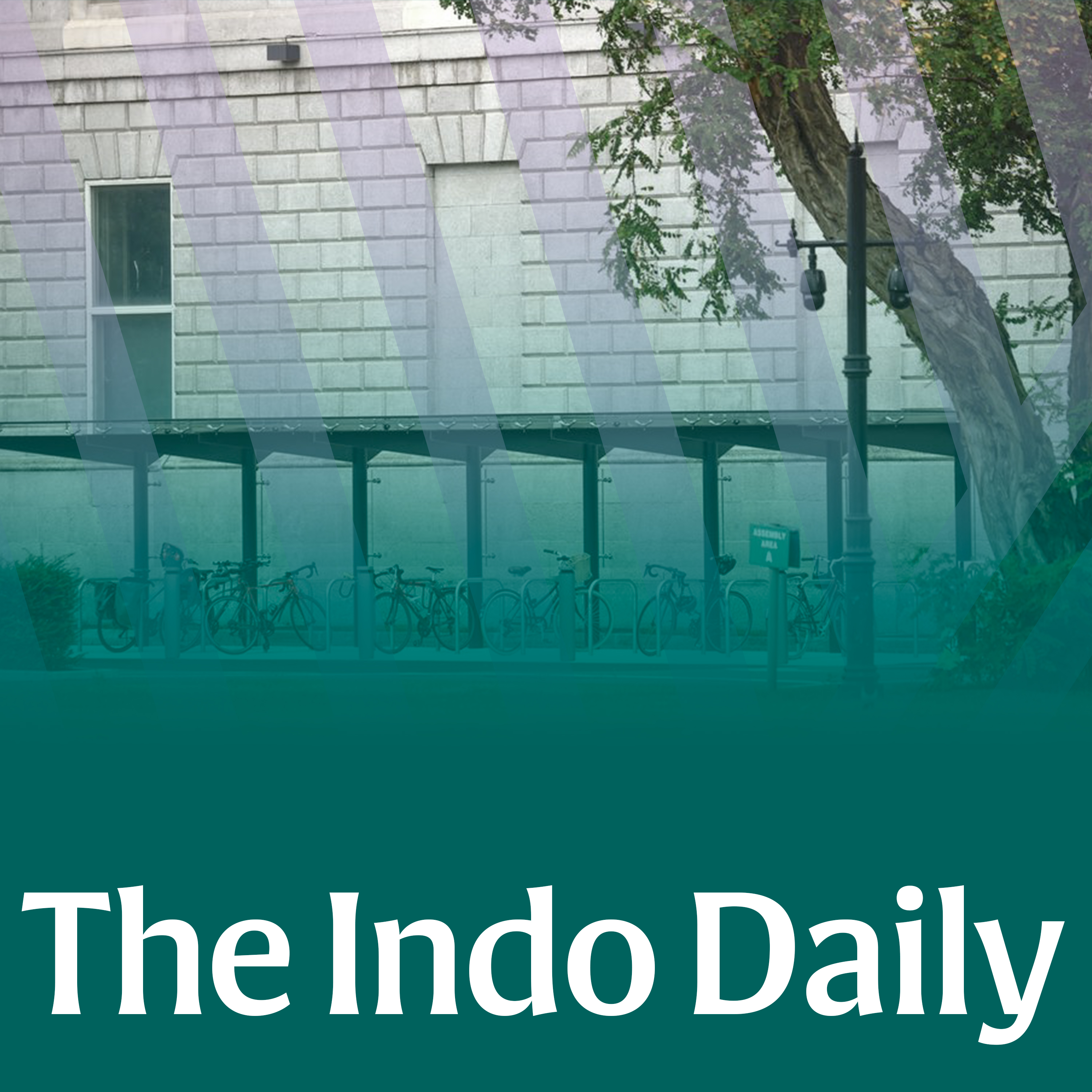 Beyond the ‘Bike Shed’: Five other Leinster House controversial spends