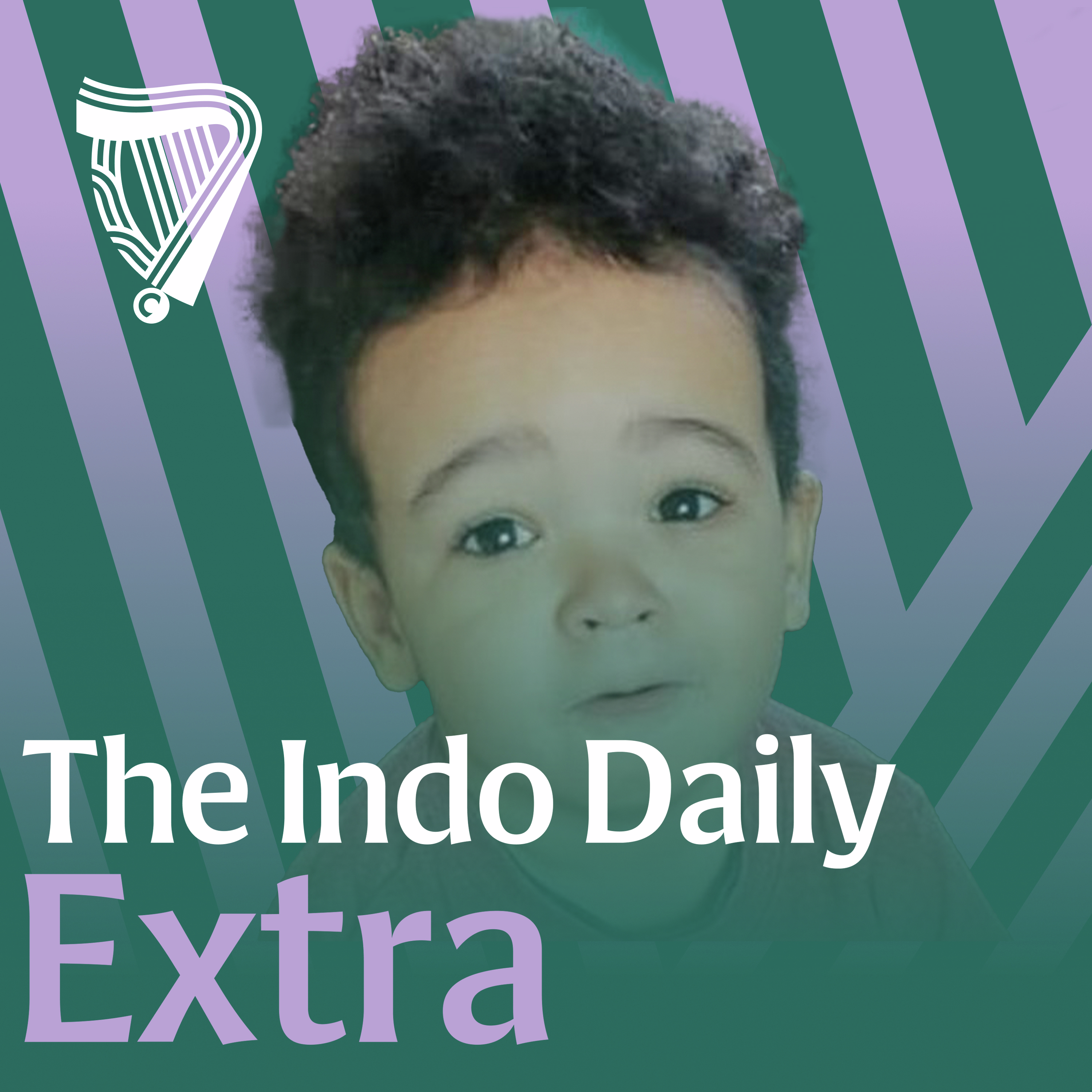 Extra: Human remains found during search for missing Donabate child