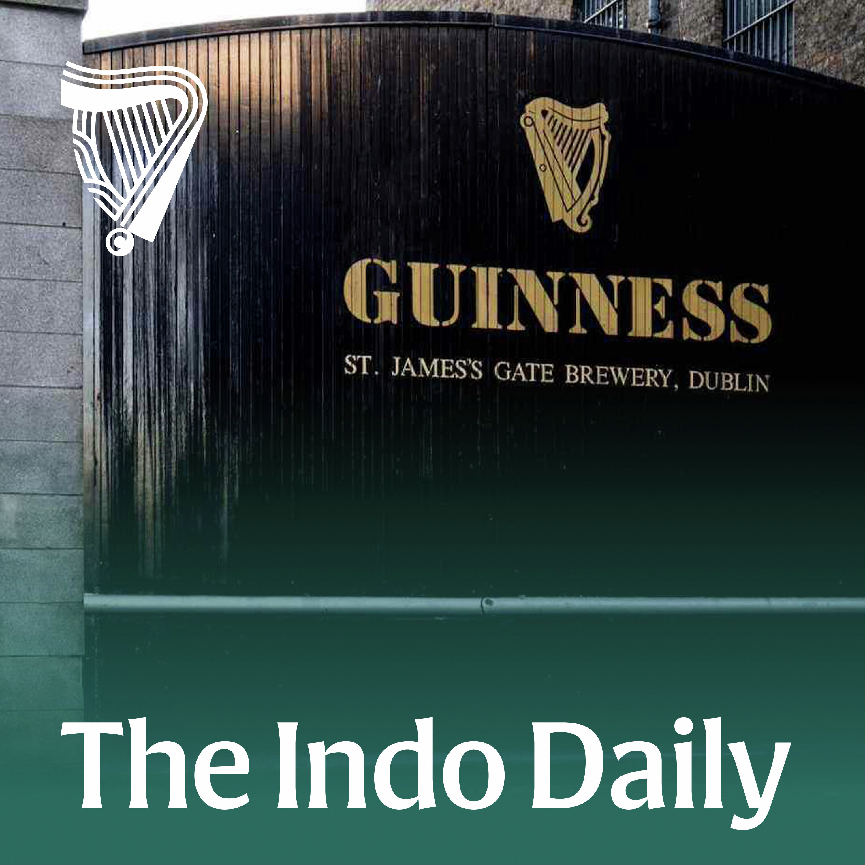 The Guinness curse: Tragedy, scandal and myth behind Ireland’s most famous family The Guinness curse: Tragedy, scandal and myth behind Ireland’s most famous family