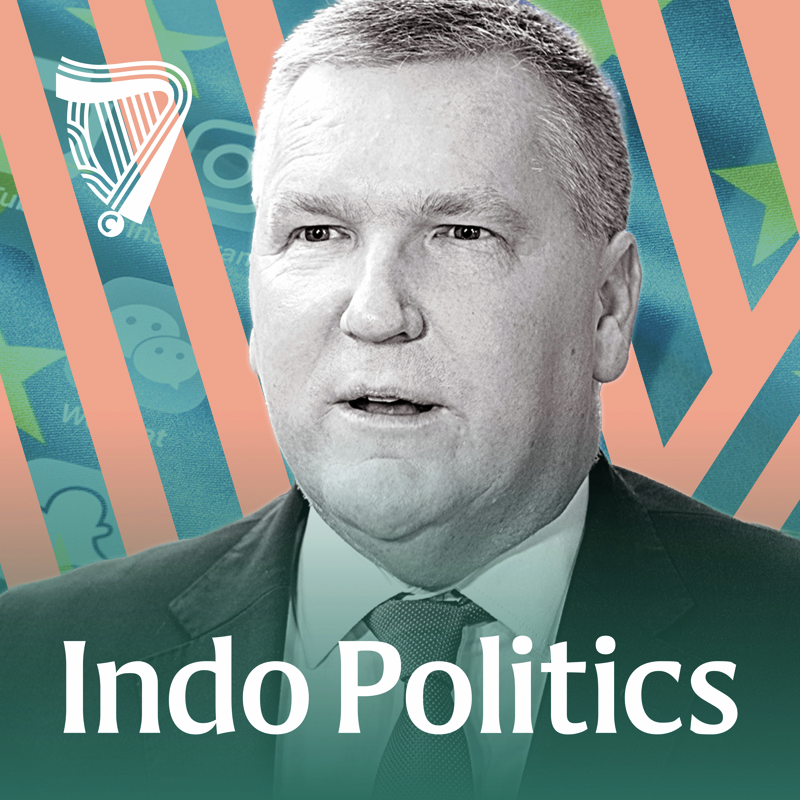 EU Commissioner Michael McGrath on EU social media ban for children episode artwork