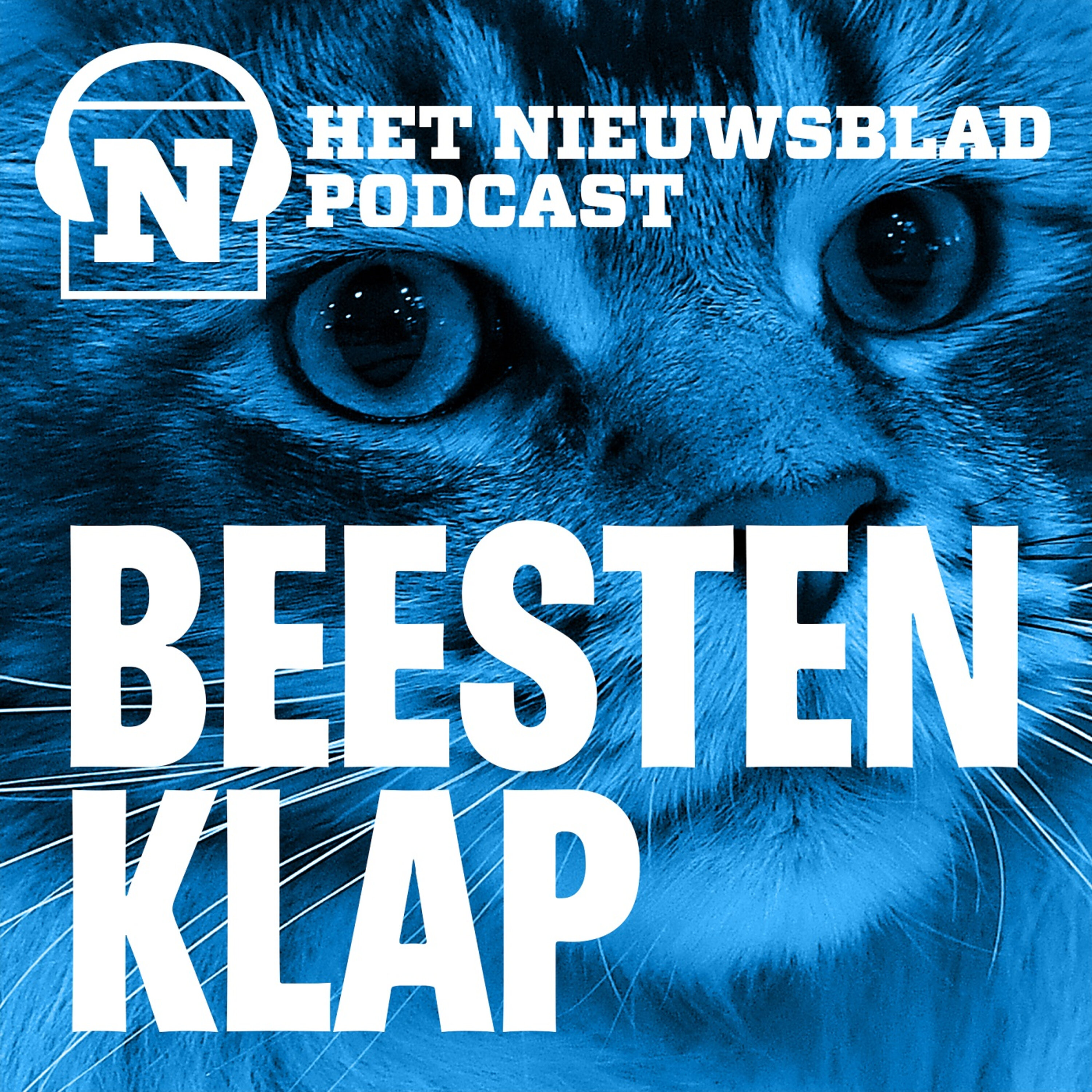 Het Paard. "Coronabubbels, daar kent een paard alles van"
