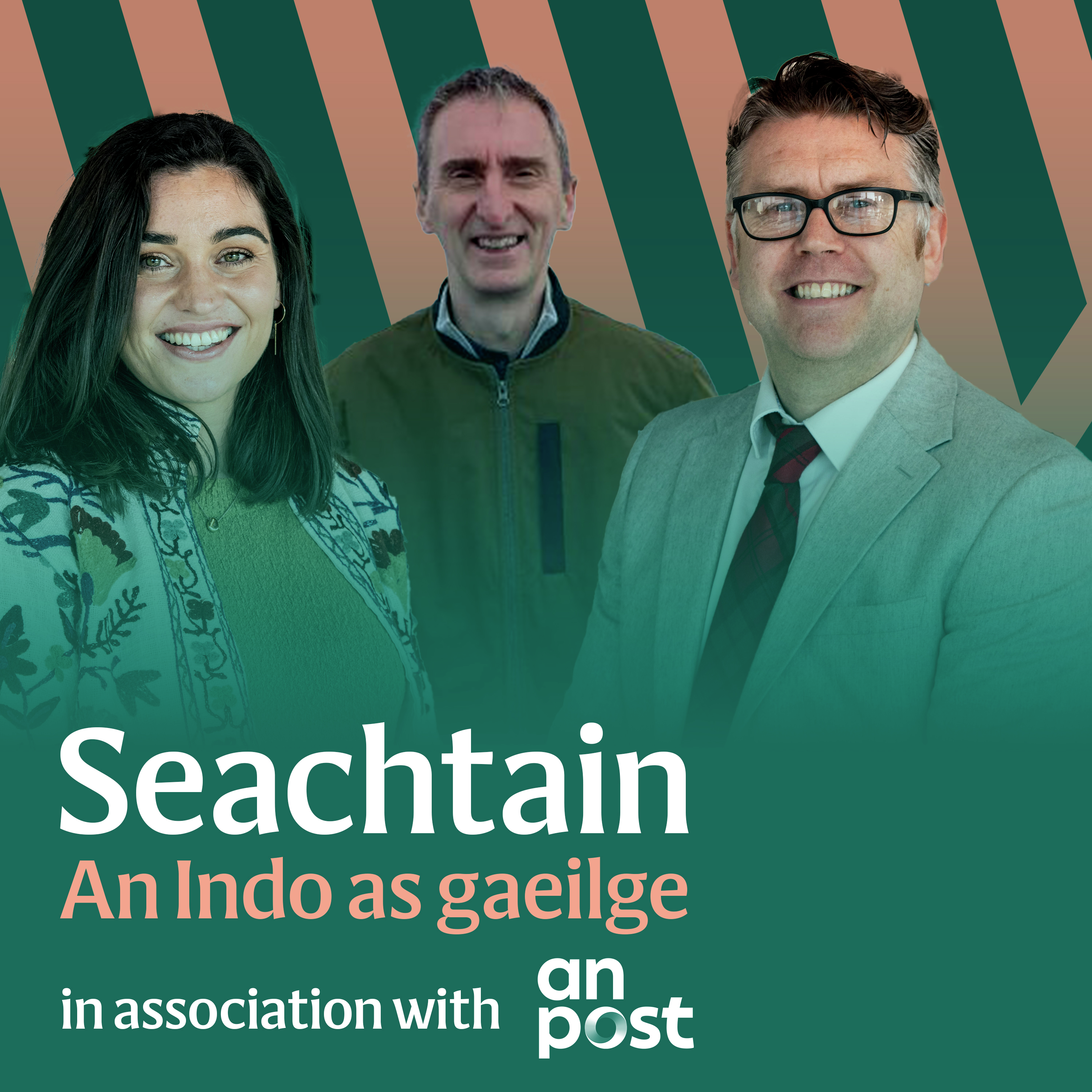 Bás an Phápa, séipéal scriosta & todhchaí Fhoras na Gaeilge: What’s hitting the headlines this week?