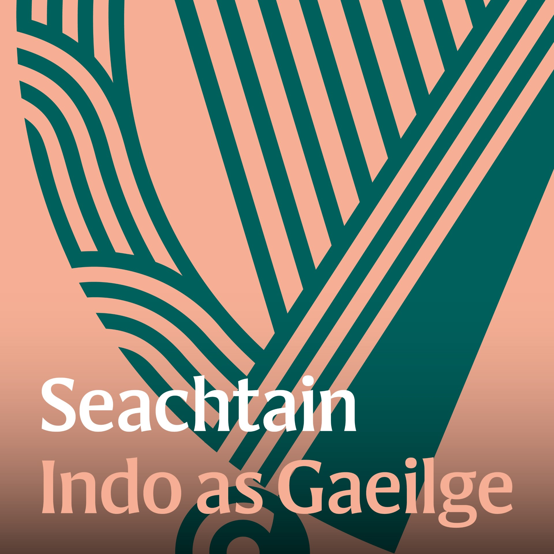 Rose of Tralee: Na heachtraí is conspóidí