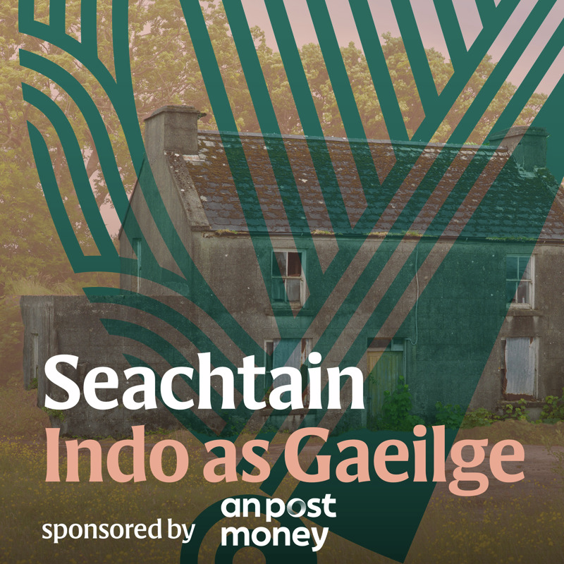 Thumbnail for Tackling the Gaeltacht housing crisis: ‘300 vacant homes ar ais in úsáid’