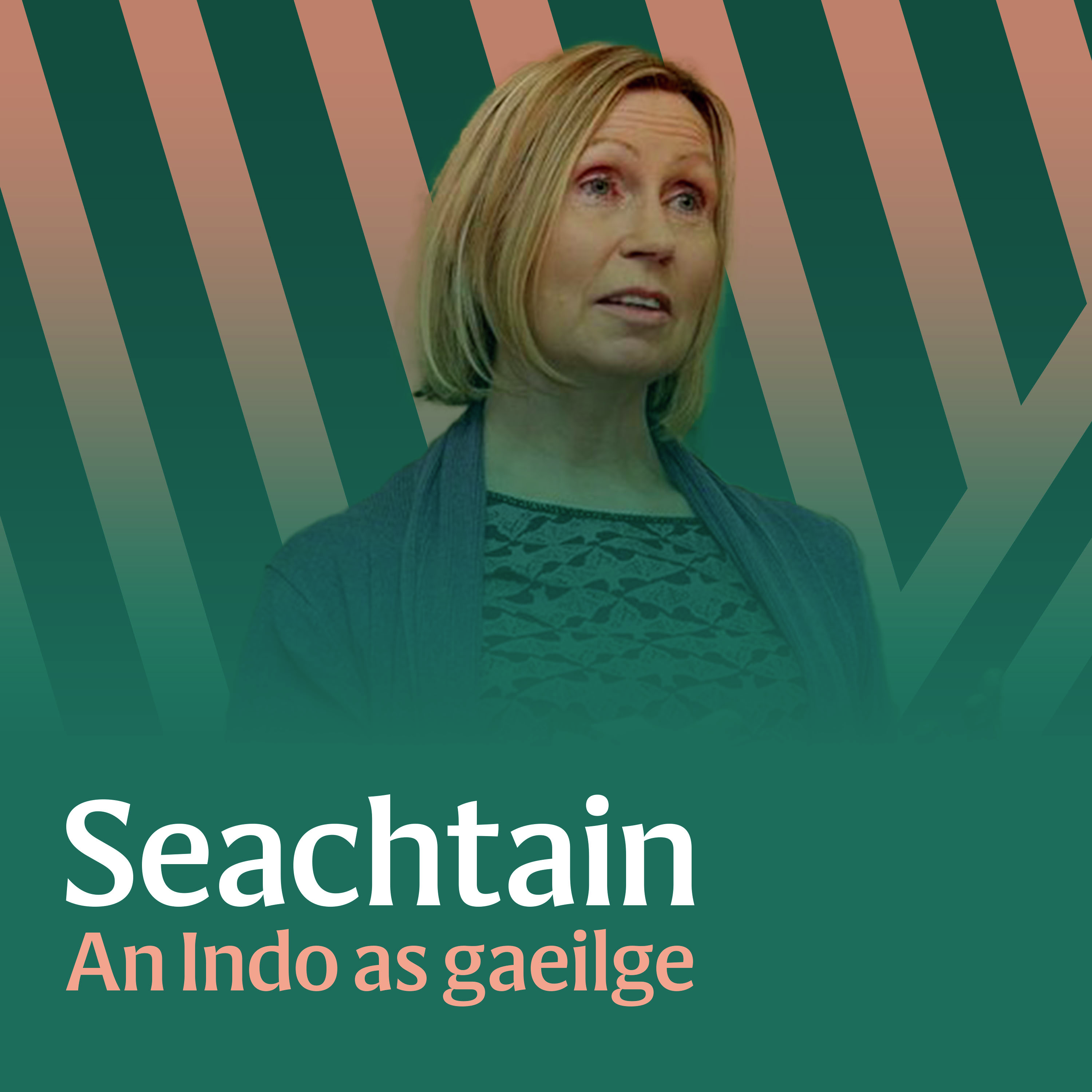 An UDA agus an UVF ag cur i gcoinne Bhunscoil Gaeilge i mBéal Feirste