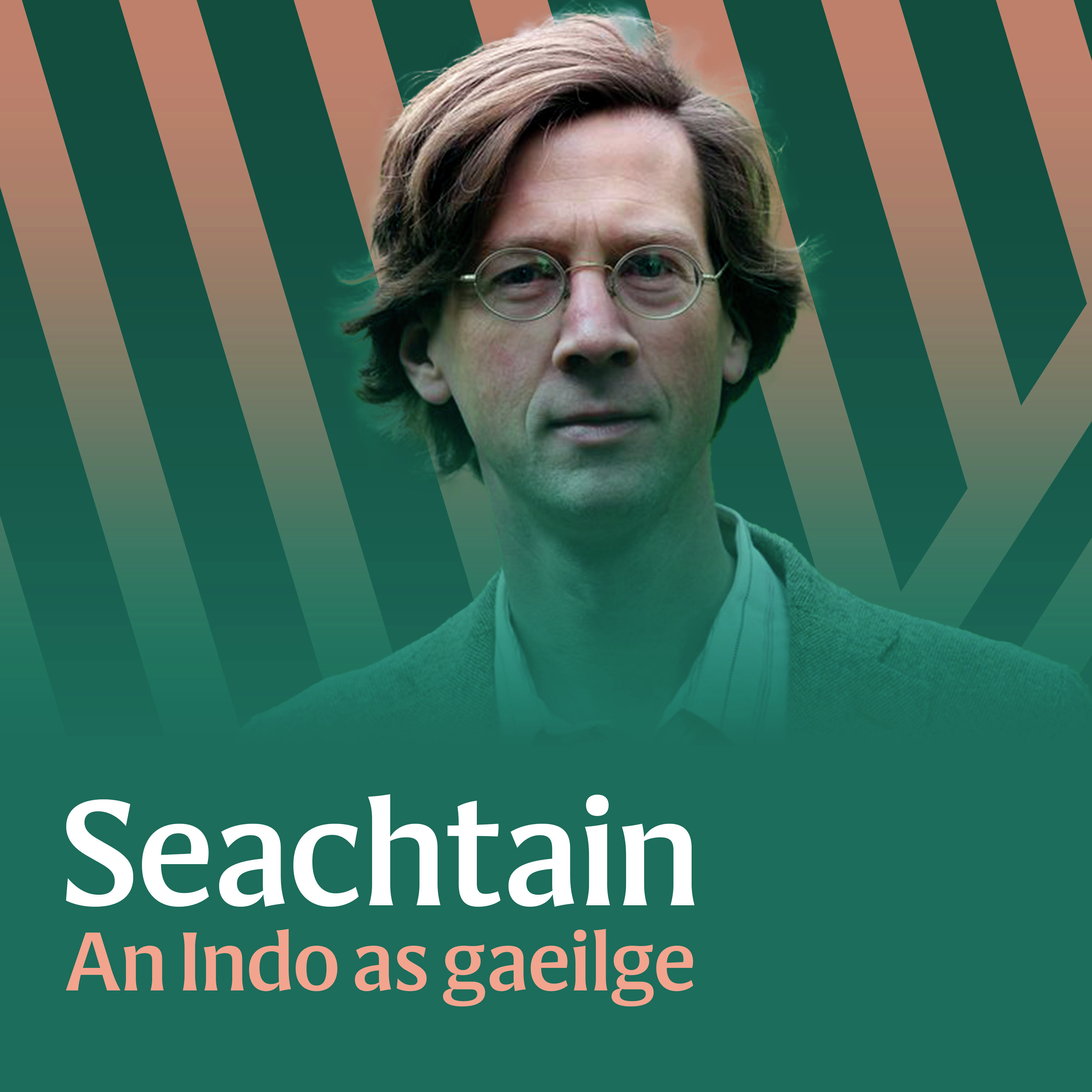 Manchán Magan: India’s linguistic link leis an Ghaeilge