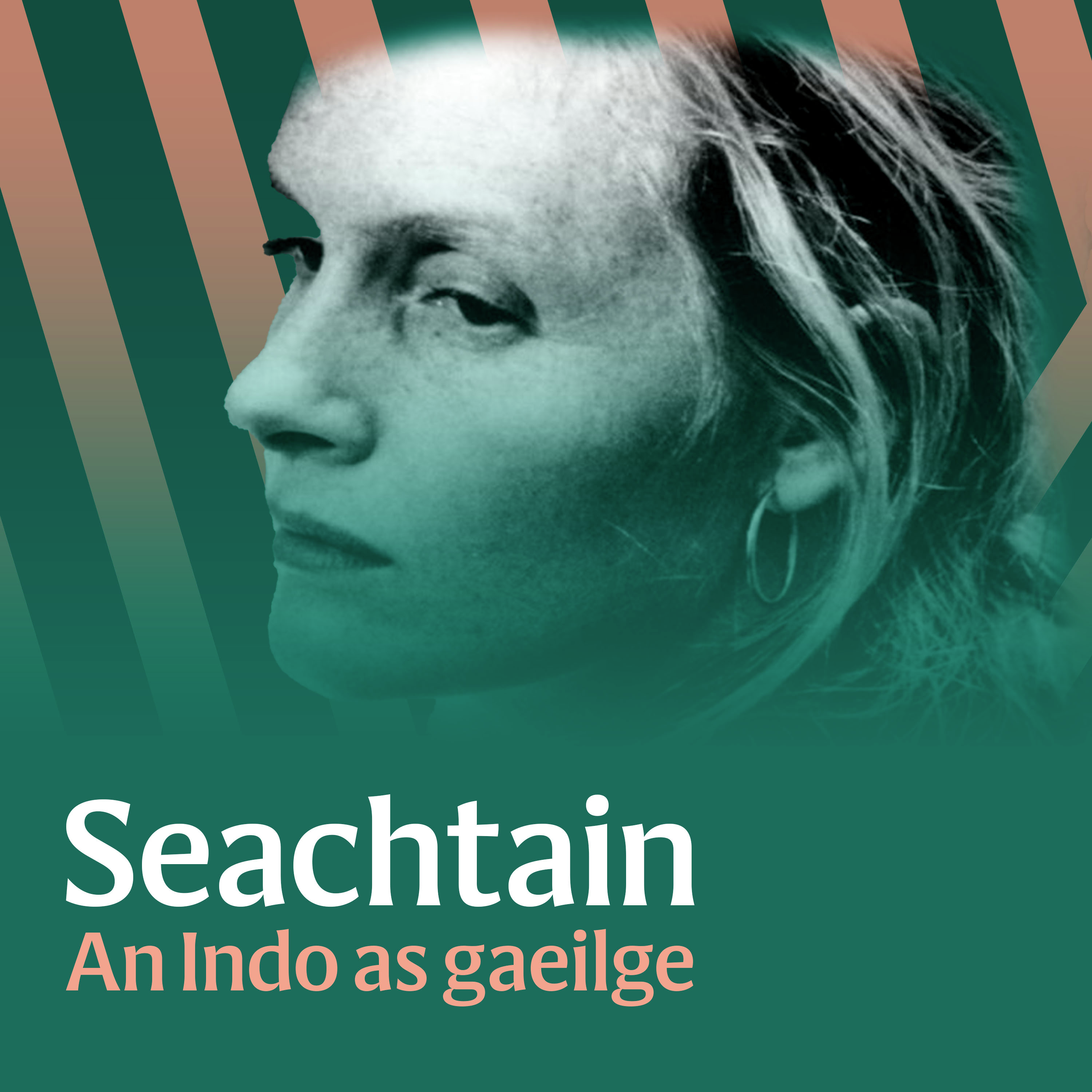 Sophie Toscan du Plantier, Fiona Pender: An bhliain is contúirtí do mhná in Éirinn