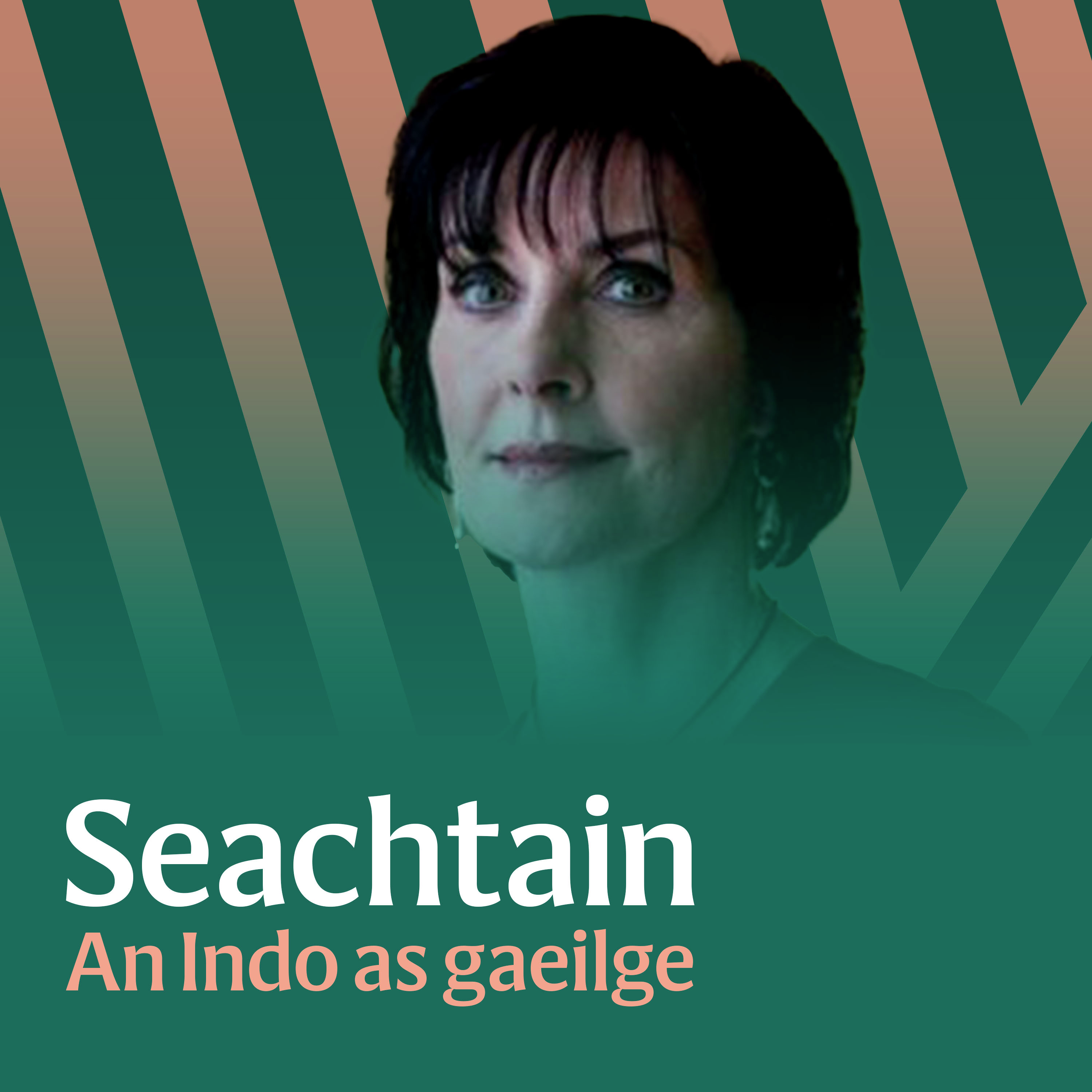Enya: Ó Ghaeltacht Dhún na nGall to superstardom