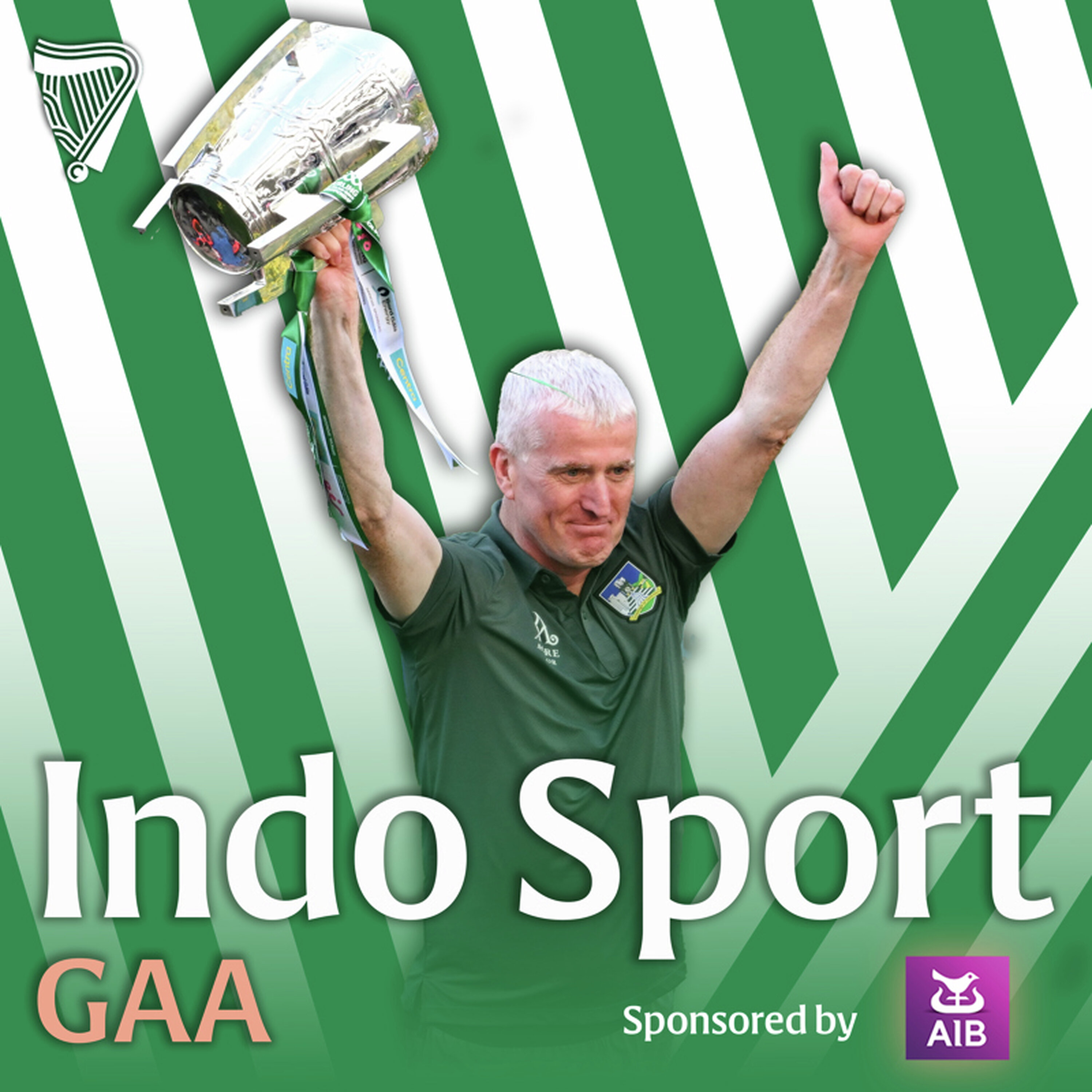 Brilliant Limerick overwhelm Galway to regain All-Ireland crown | John Mullane & Michael Verney in Croke Park