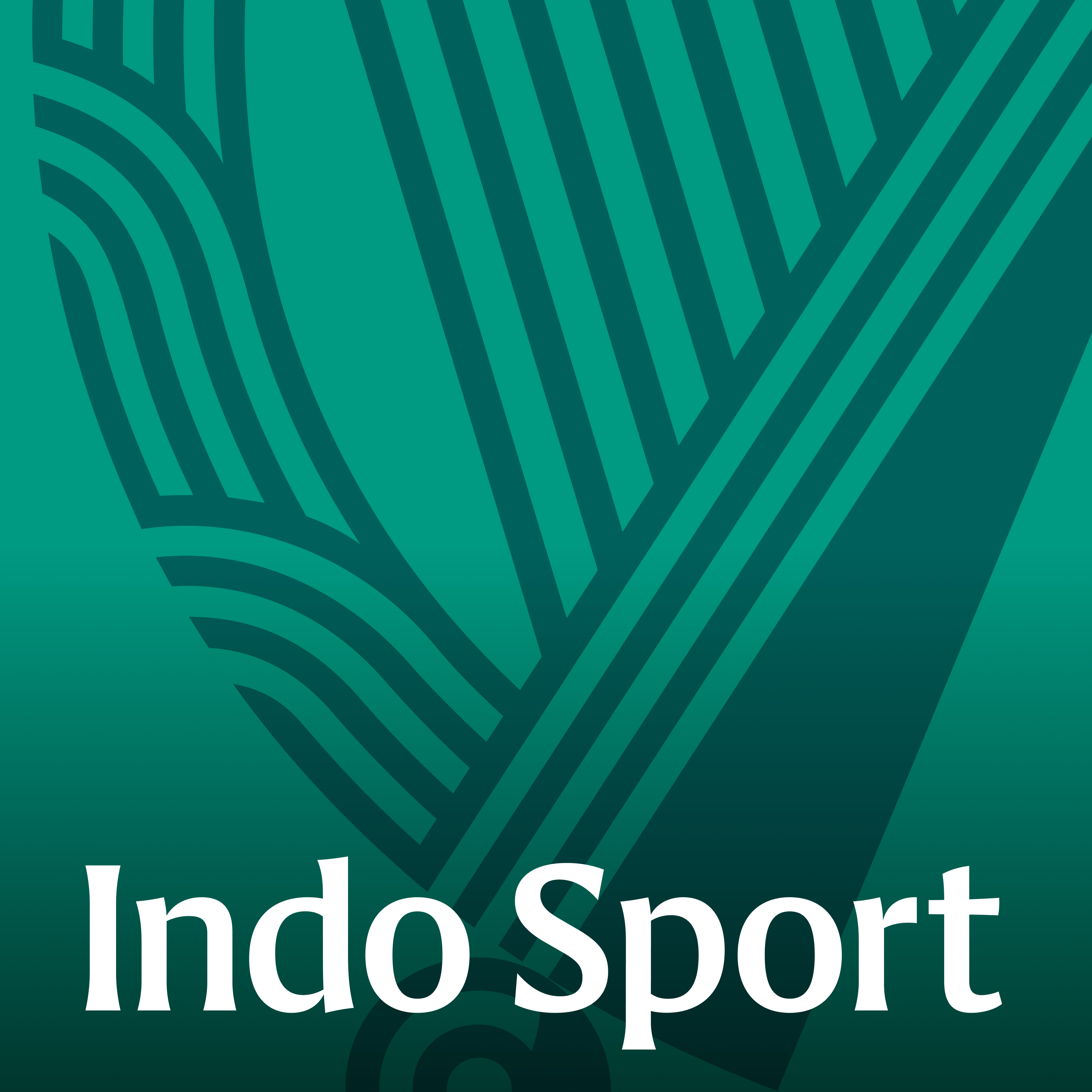 Indo Sport