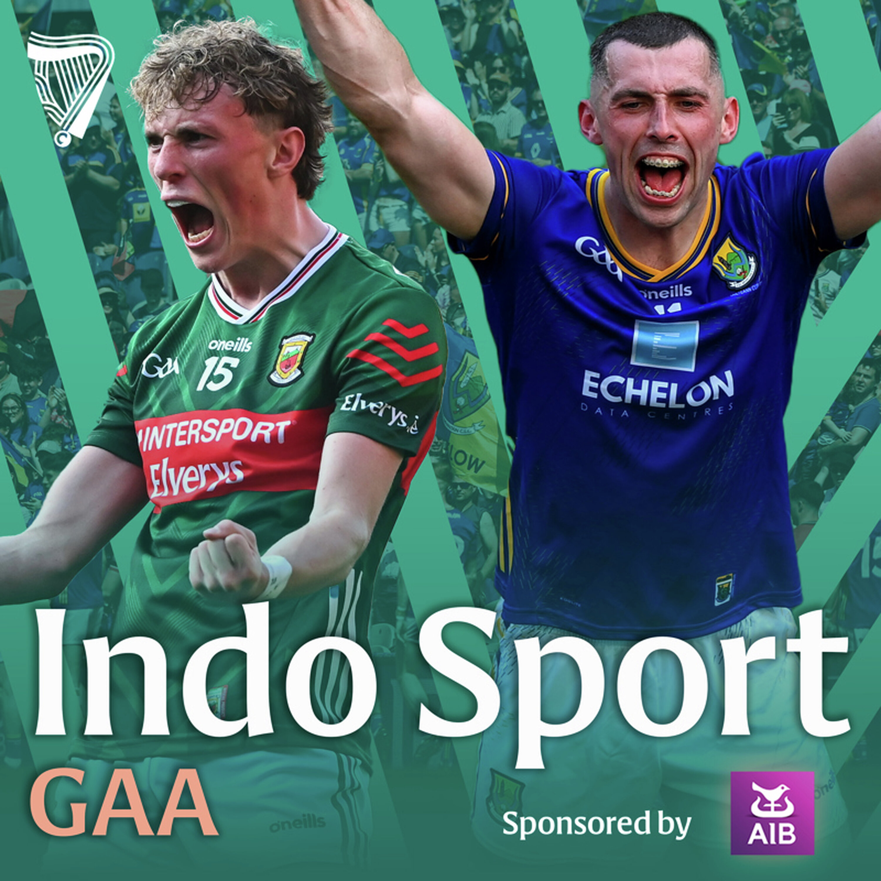 Mayo hit cruise control to go back to the final | Wicklow thrill to seal history | Croke Park Reaction 🏐