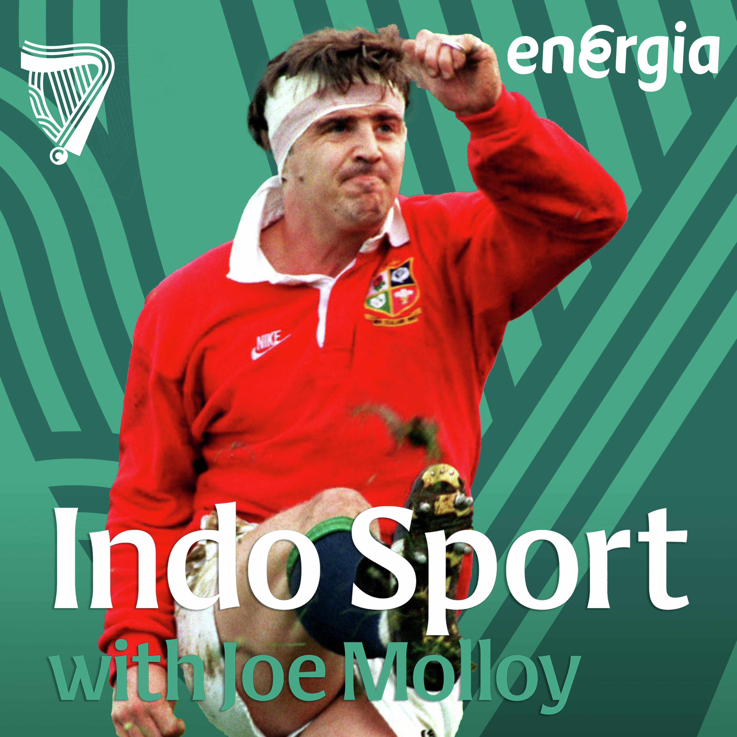Stuart Barnes on the Lions & Leinster