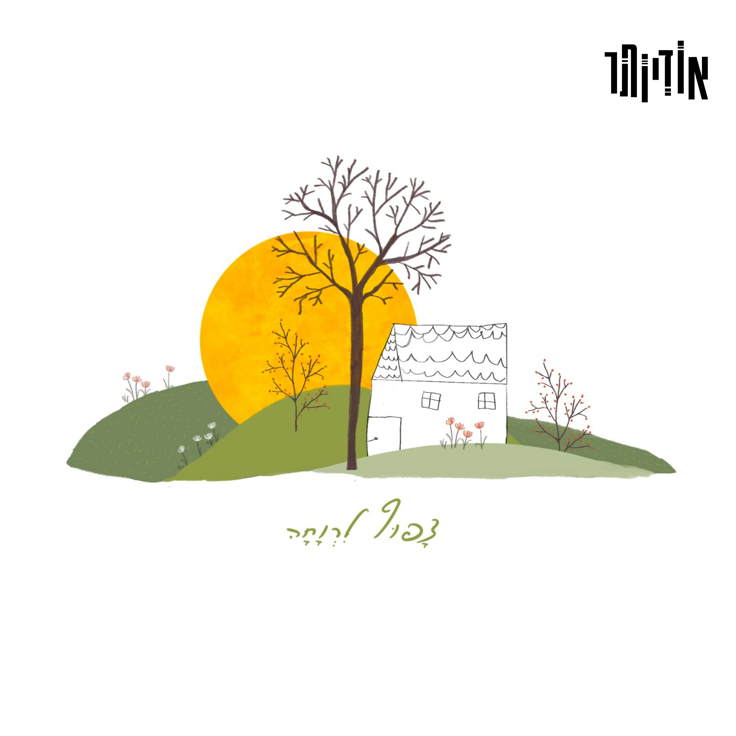 צפוף לרווחה | לזכר יותם פלד