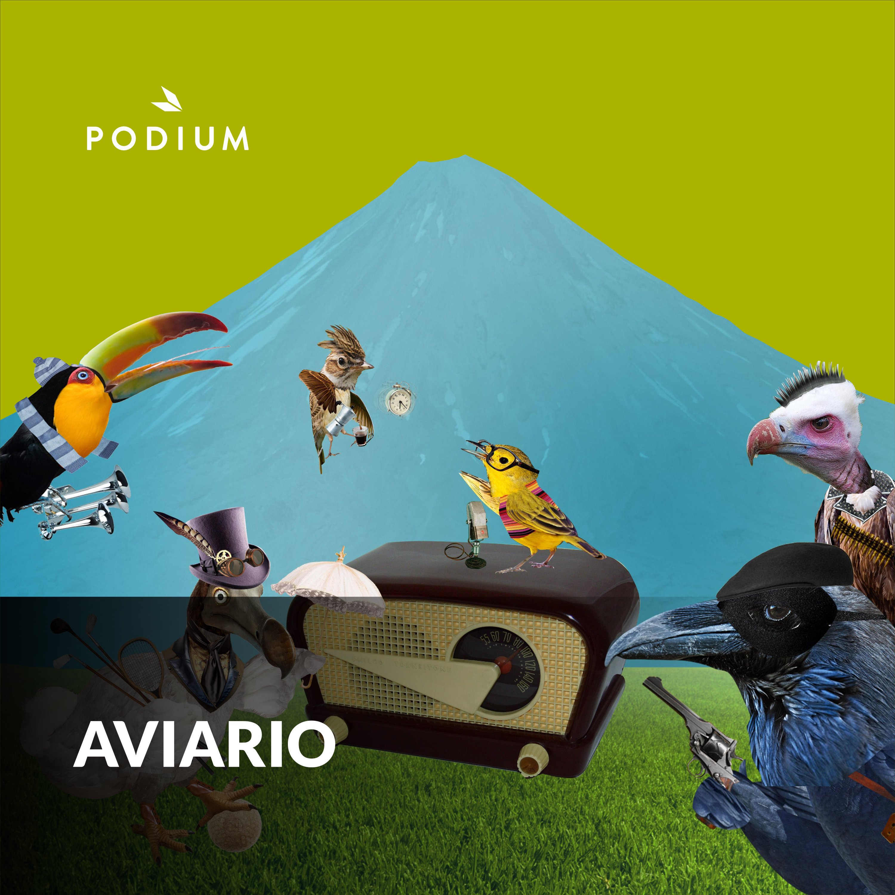 Imagen de Aviario