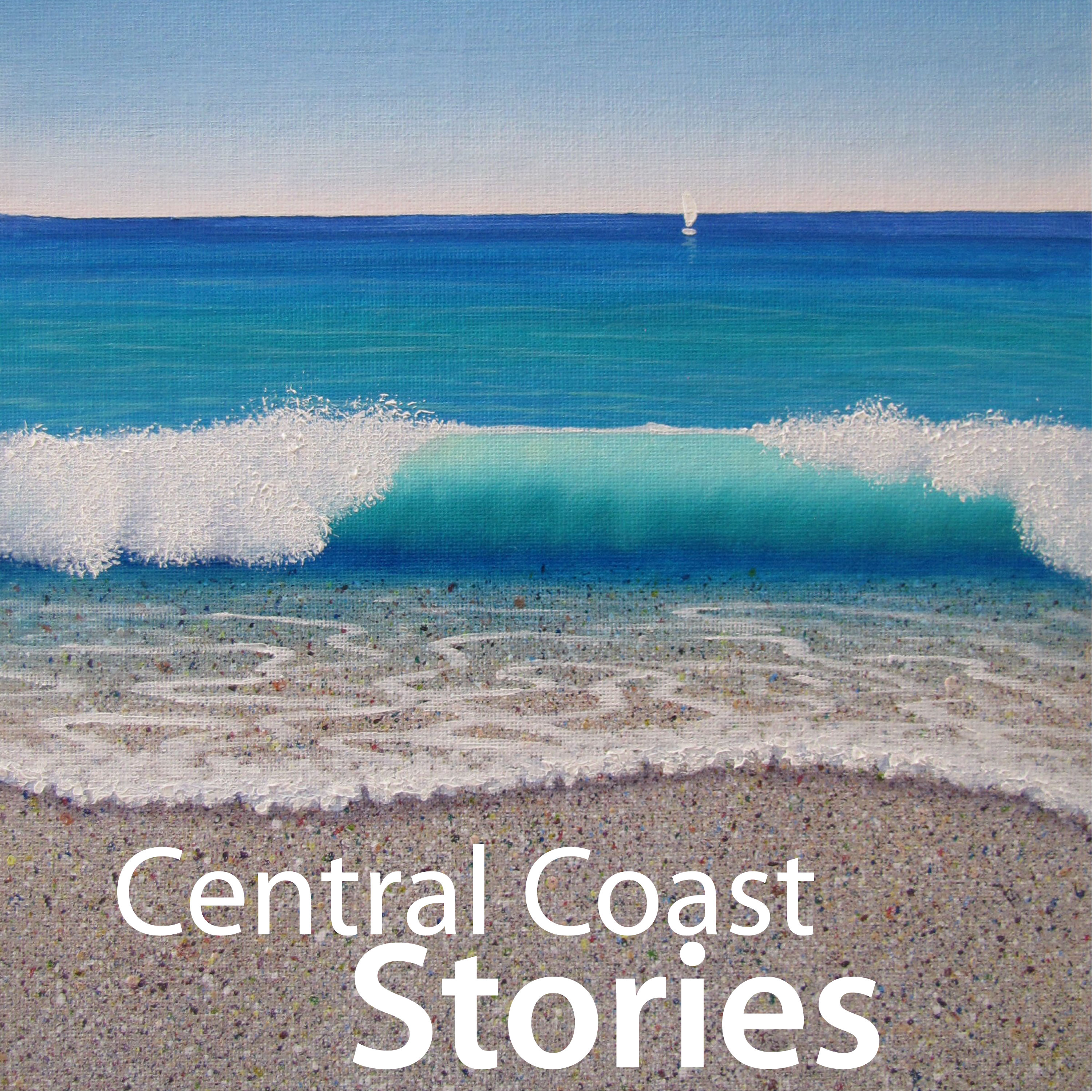 Music shop central coast discount