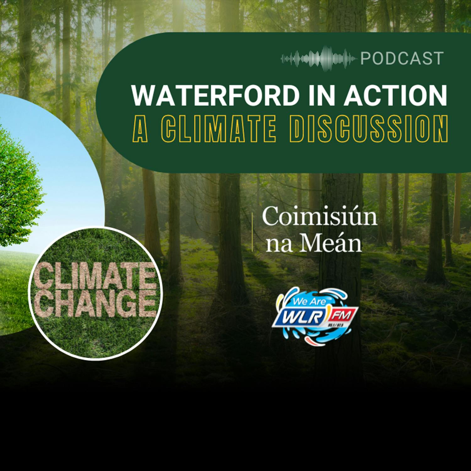 Waterford in Action - A Climate Discussion cover art