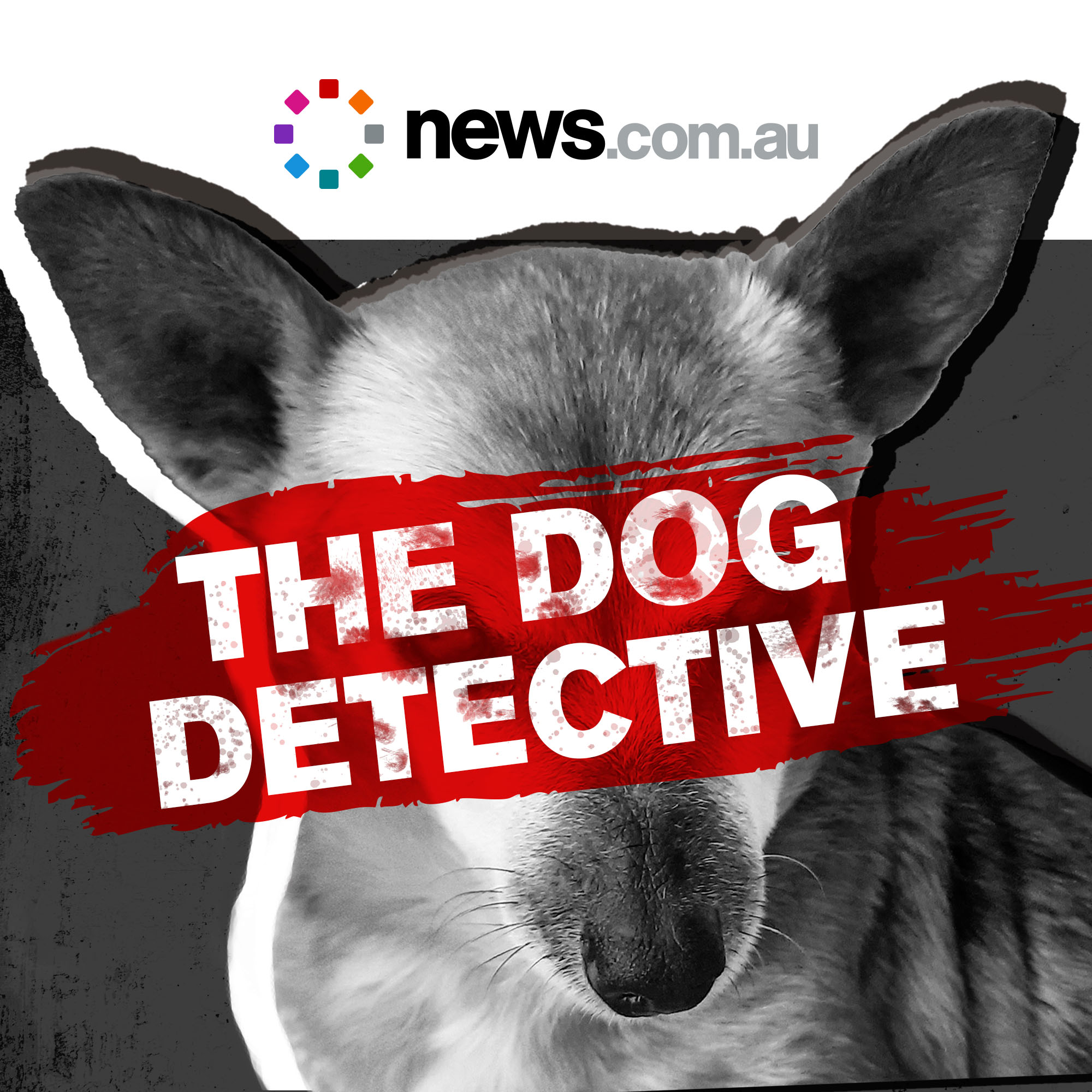 The Dog Detective