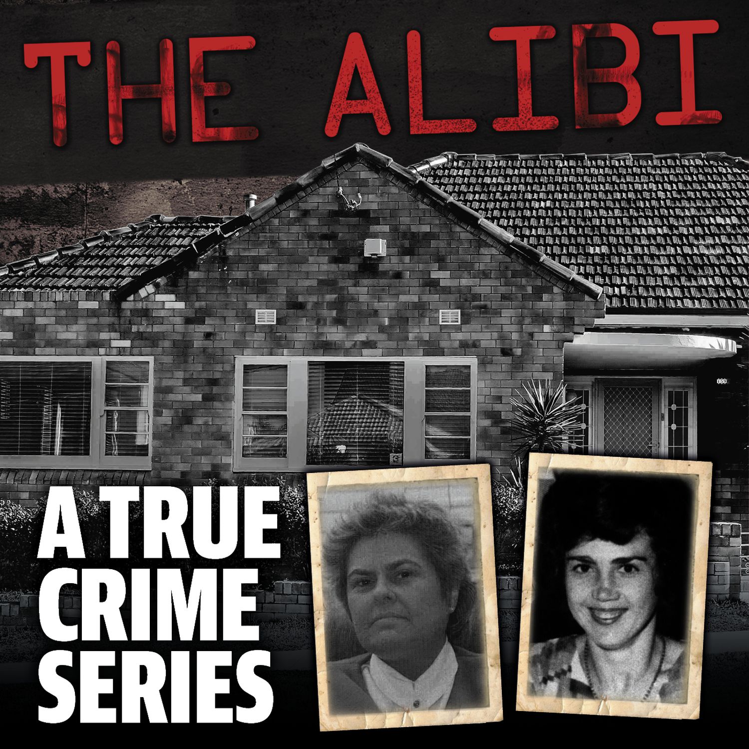 The Alibi