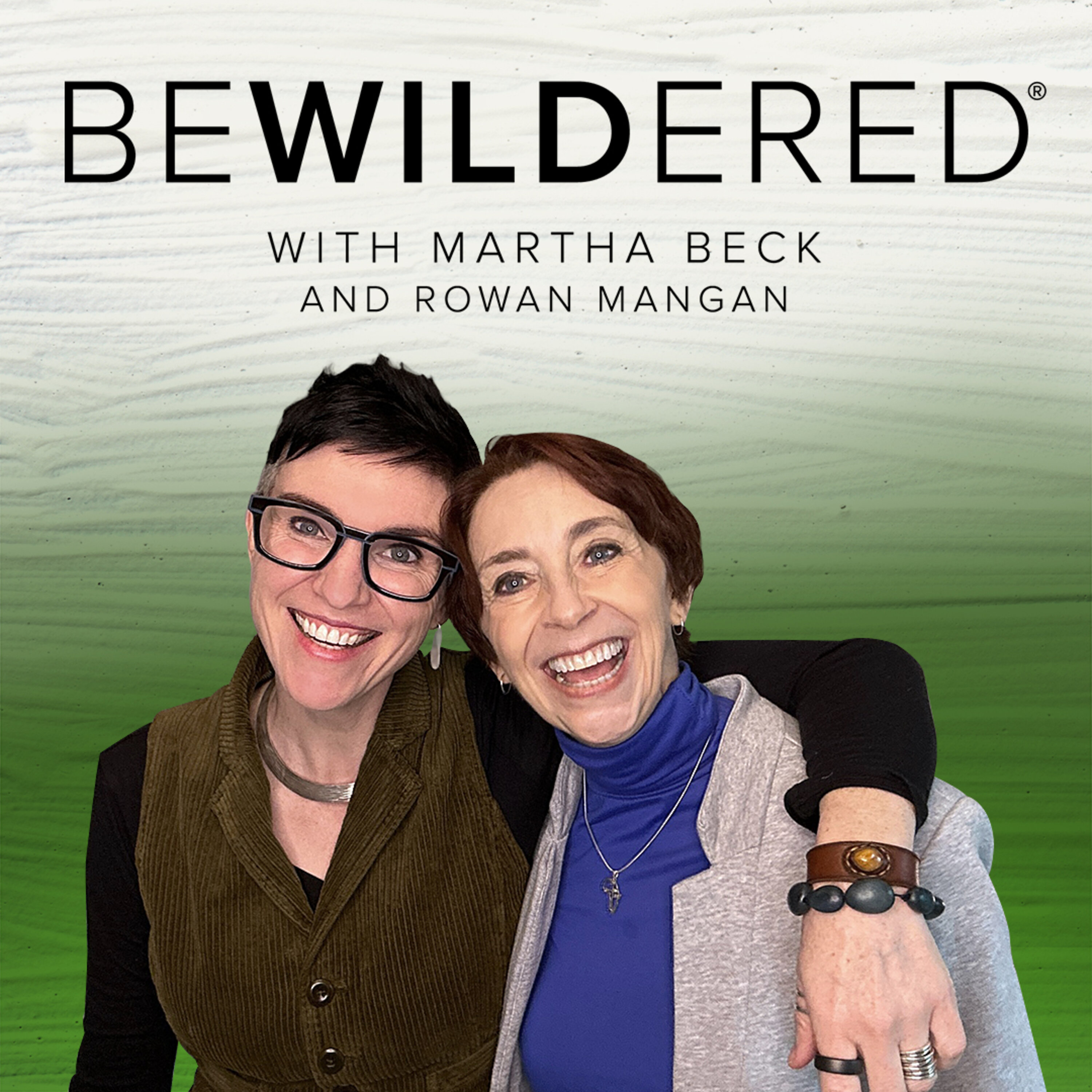 Bewildered Artwork