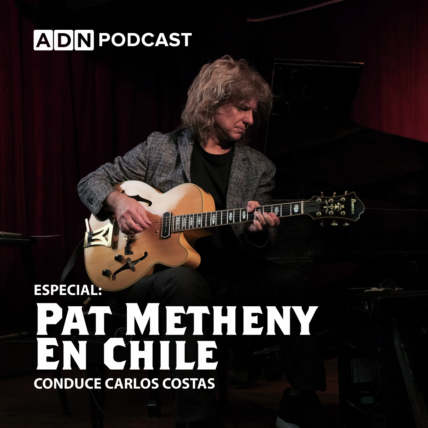 Imagen de Pat Metheny en Chile