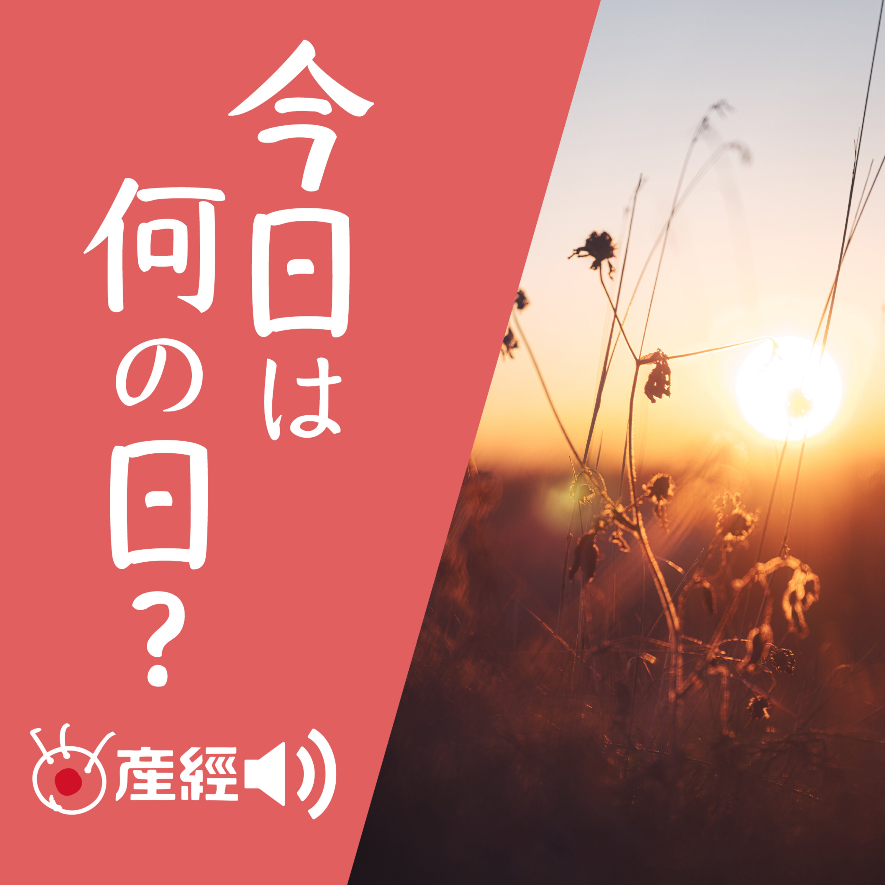 今日は何の日?~過去からもらう今日を生きるヒント cover