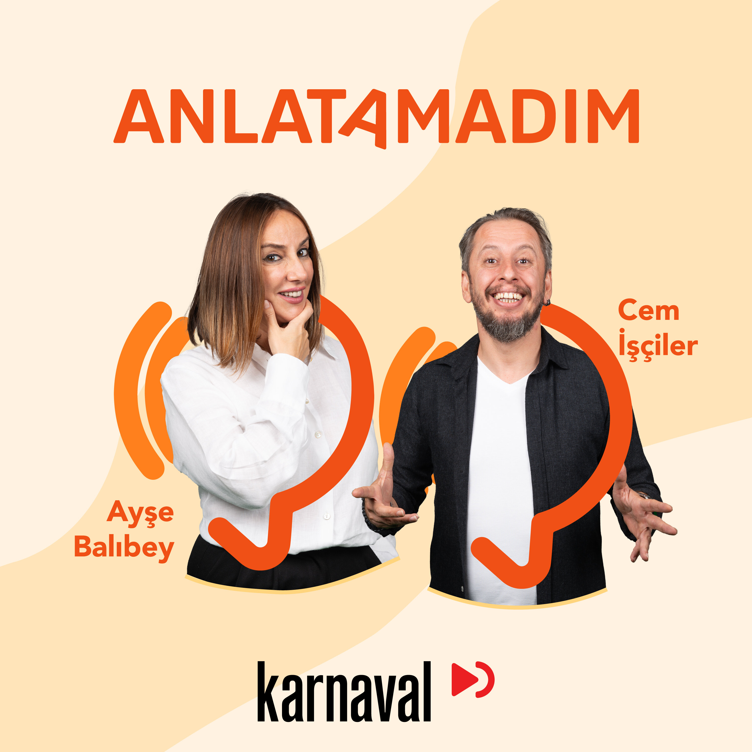 Anlatamadım cover