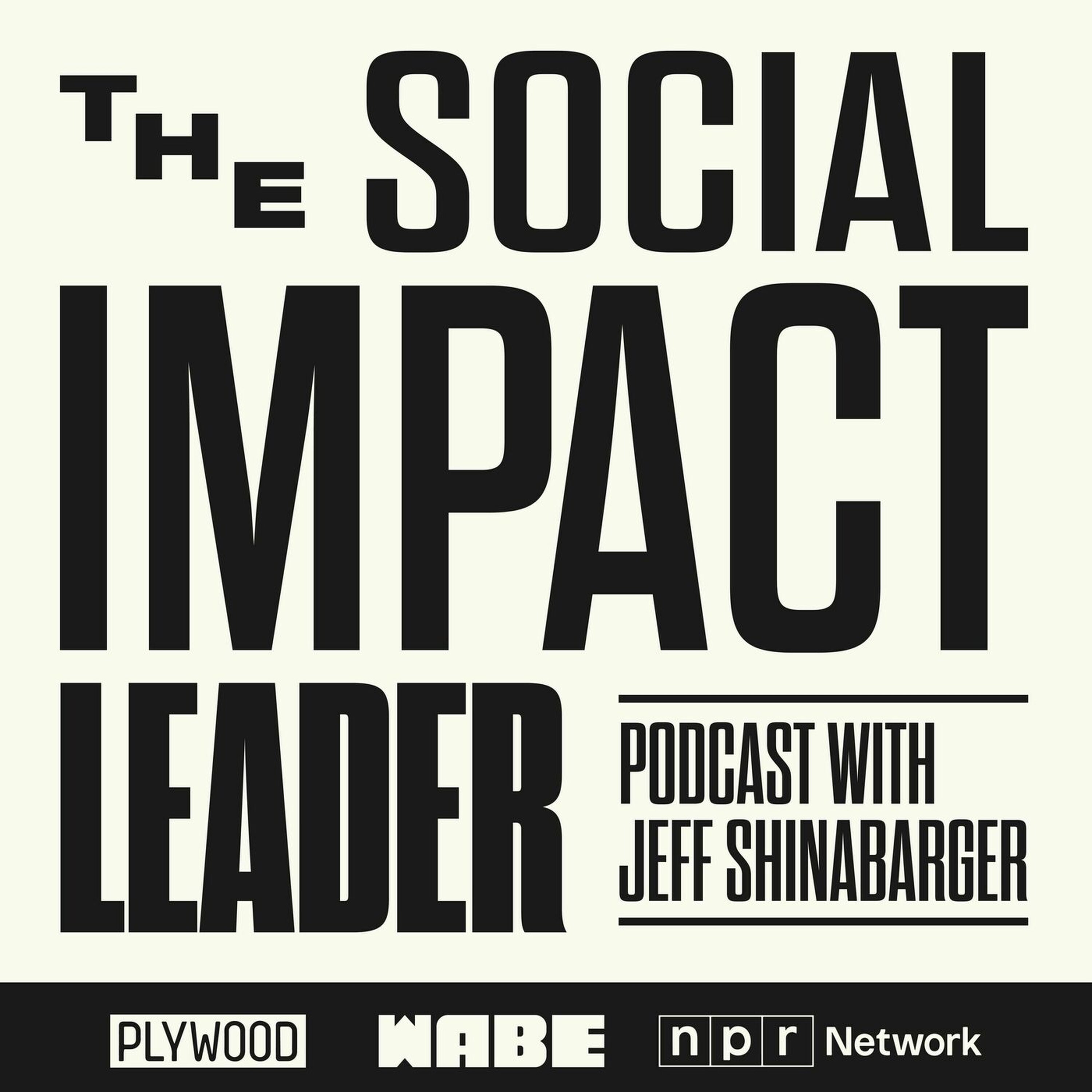 Social Impact Leader cover