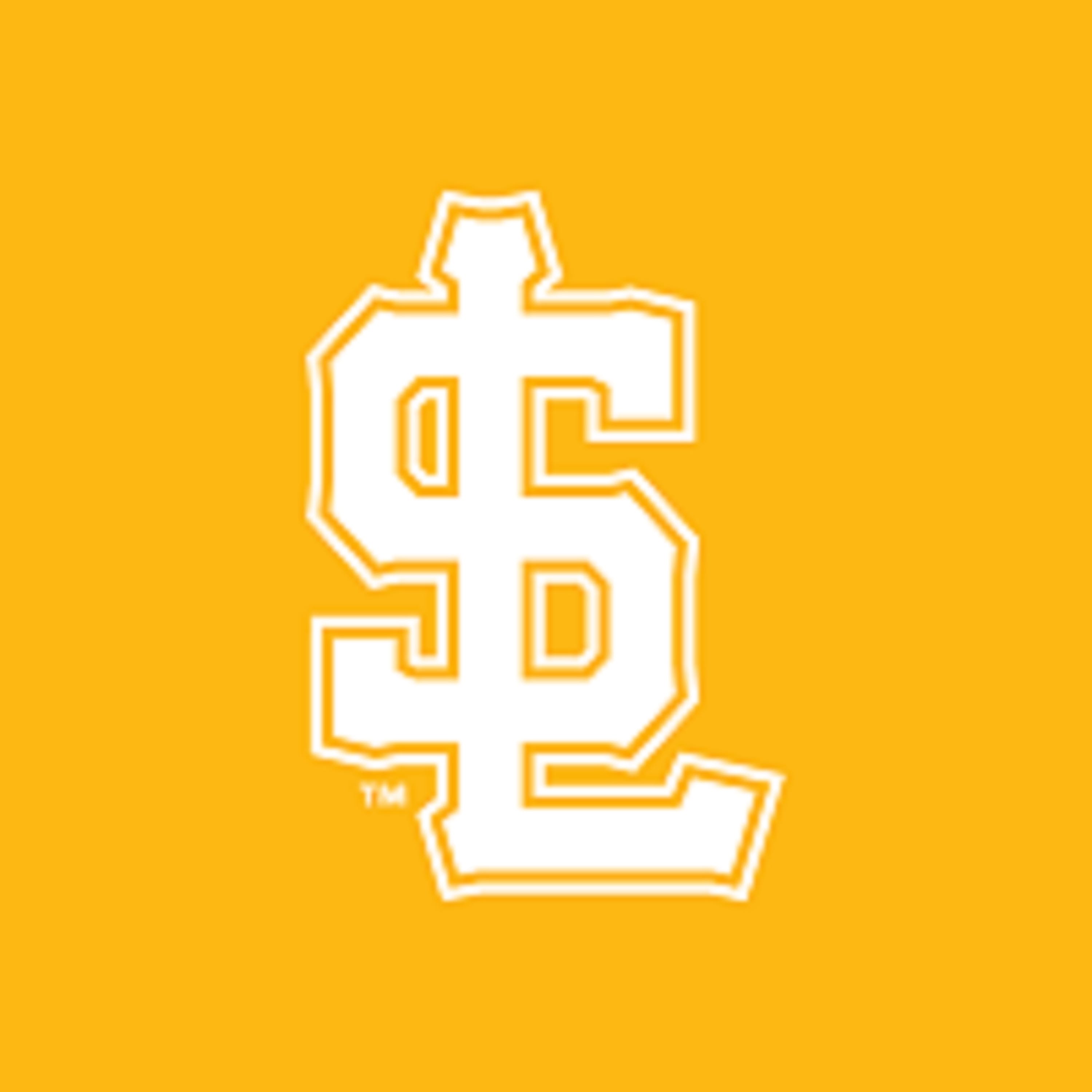 Salt Lake Bees Sound Cover Image