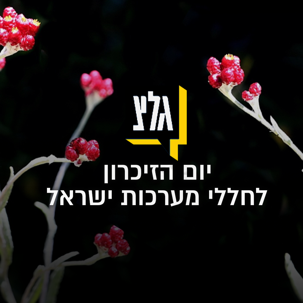 יום הזיכרון לחללי מערכות ישראל ופעולות האיבה בגלי צה"ל