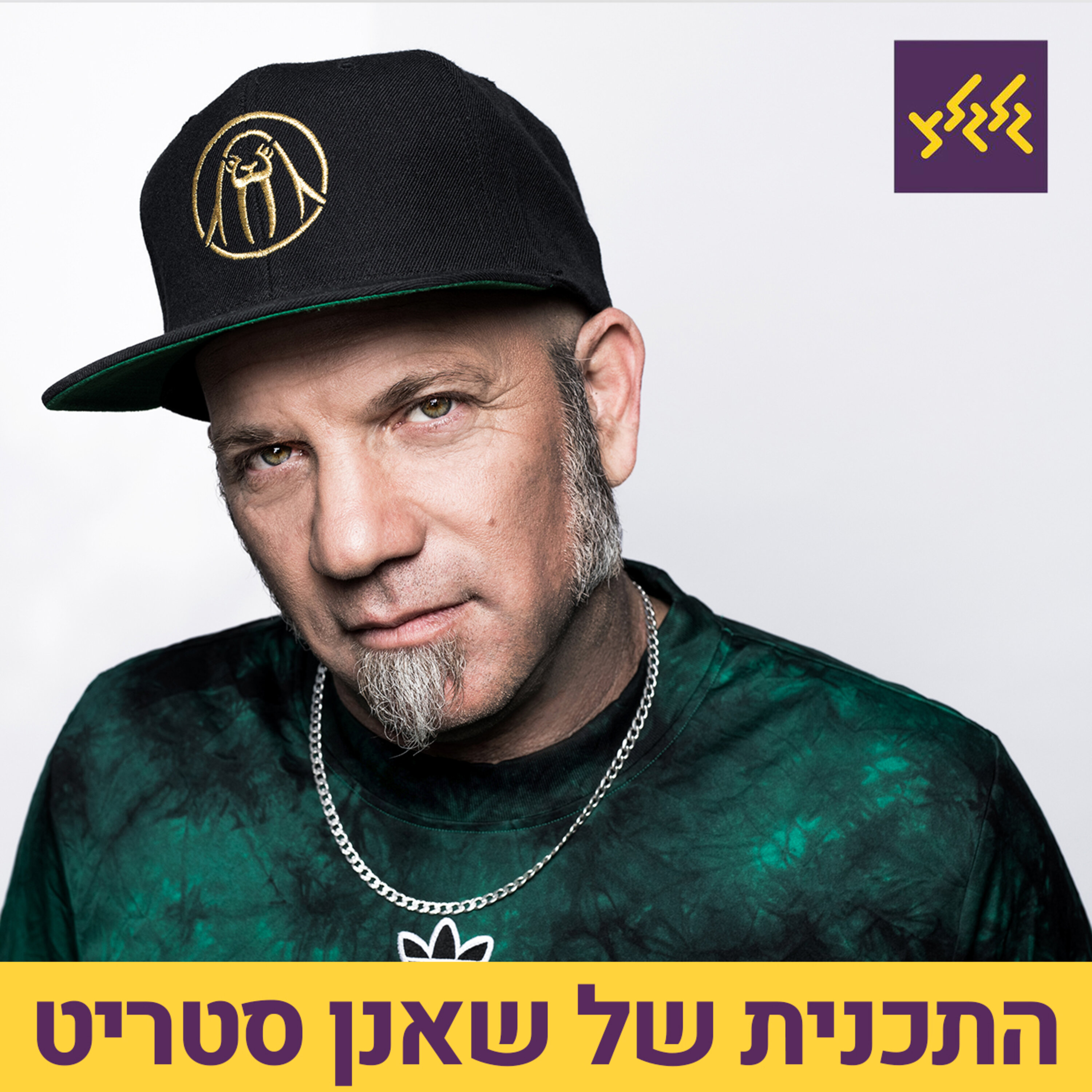 התכנית של שאנן סטריט