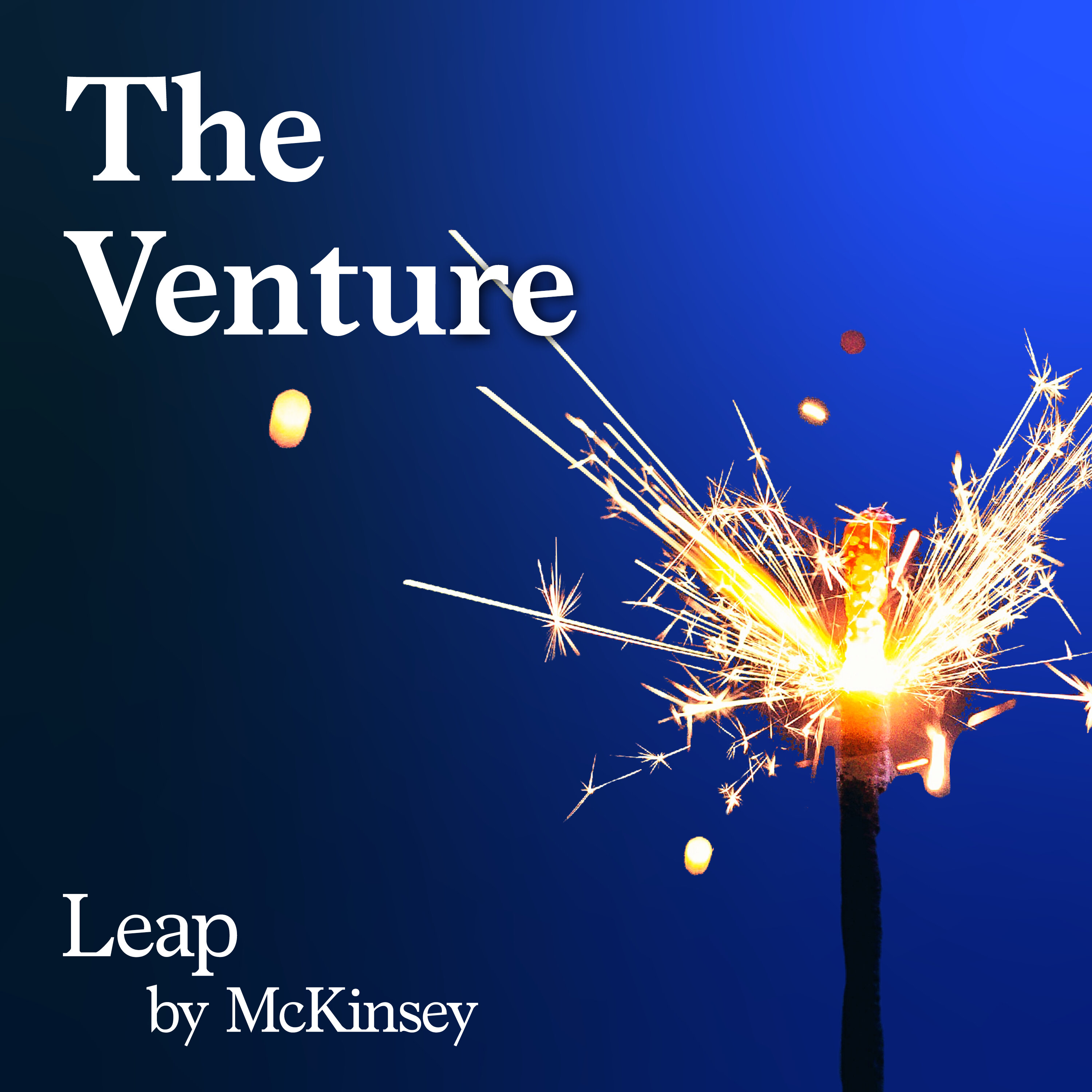 The Venture cover