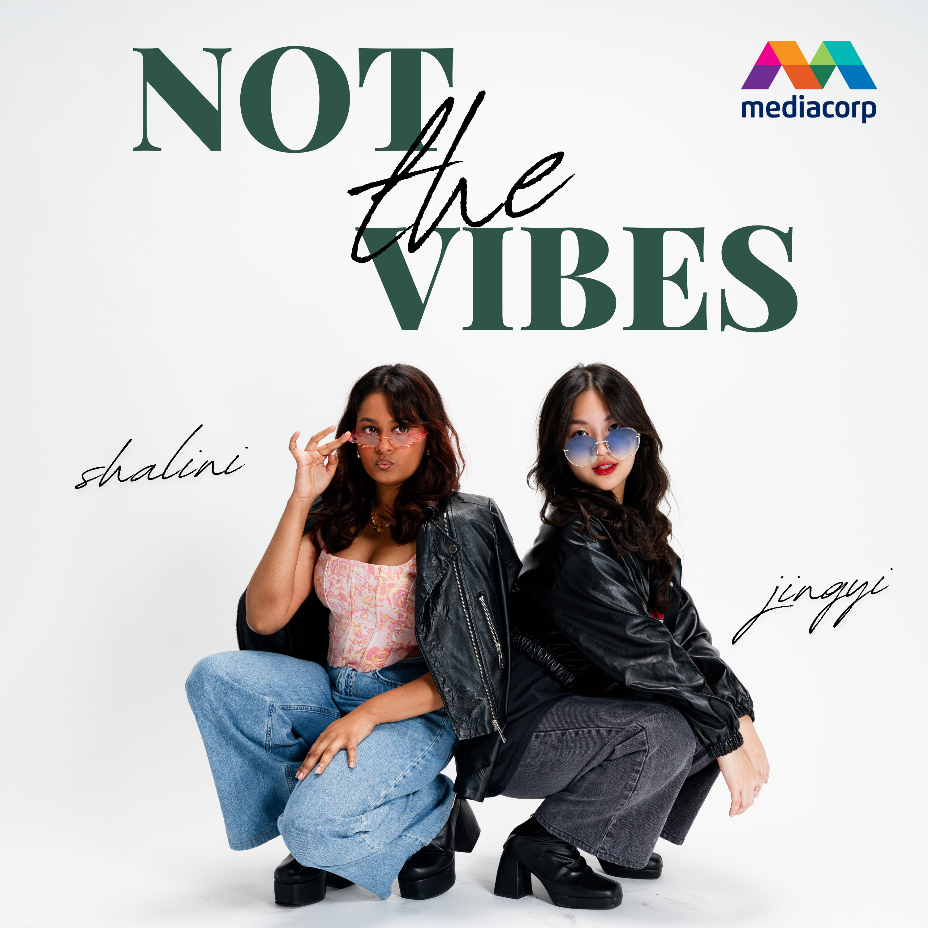 Not the Vibes Podcast podcast artwork