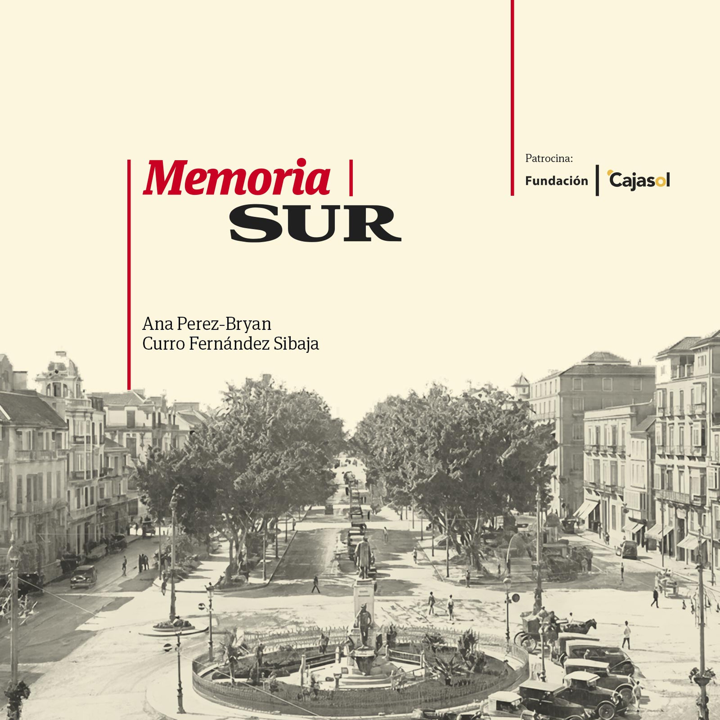 Memoria SUR
