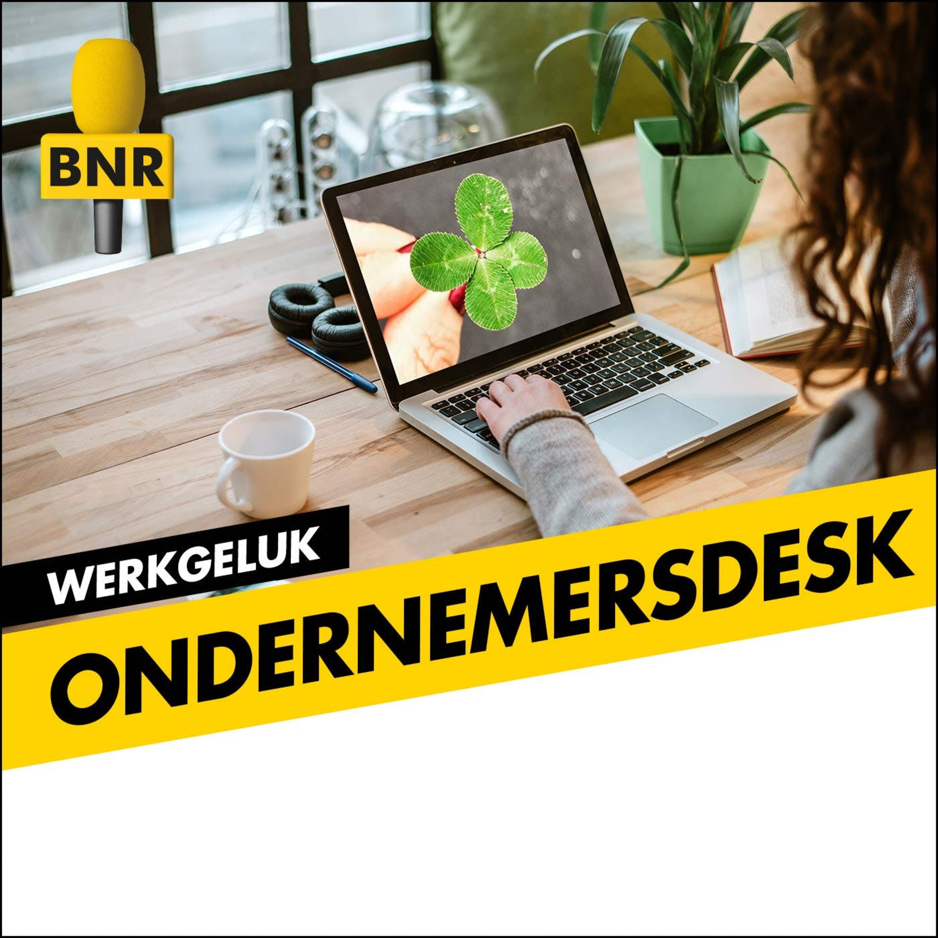 Ondernemersdesk | Werkgeluk | BNR