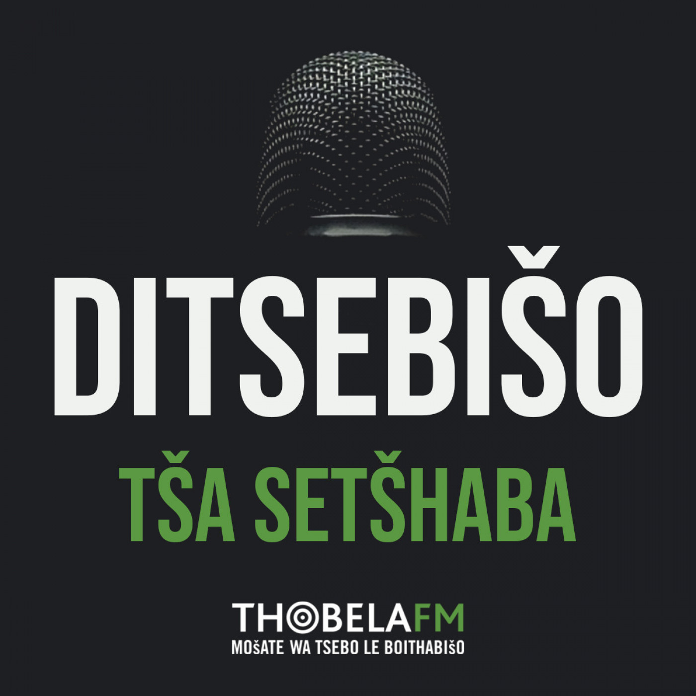 Ditsbiso tsa setshaba