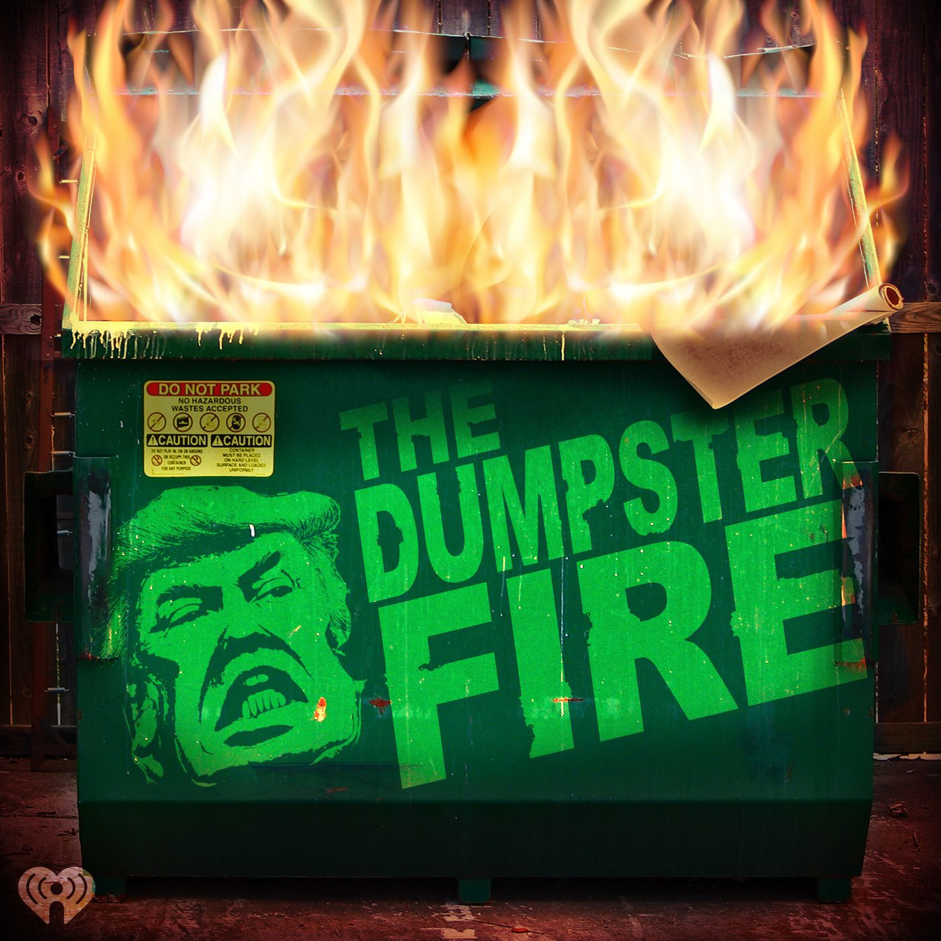 The Dumpster Fire cover