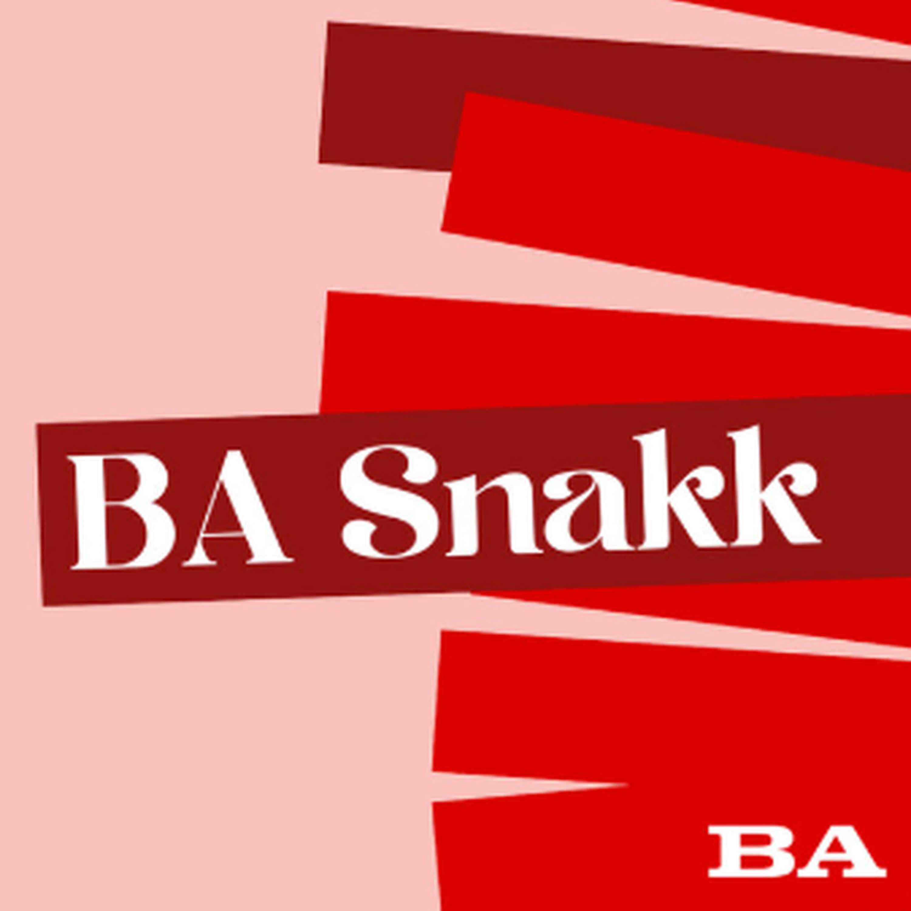 BA Snakk cover