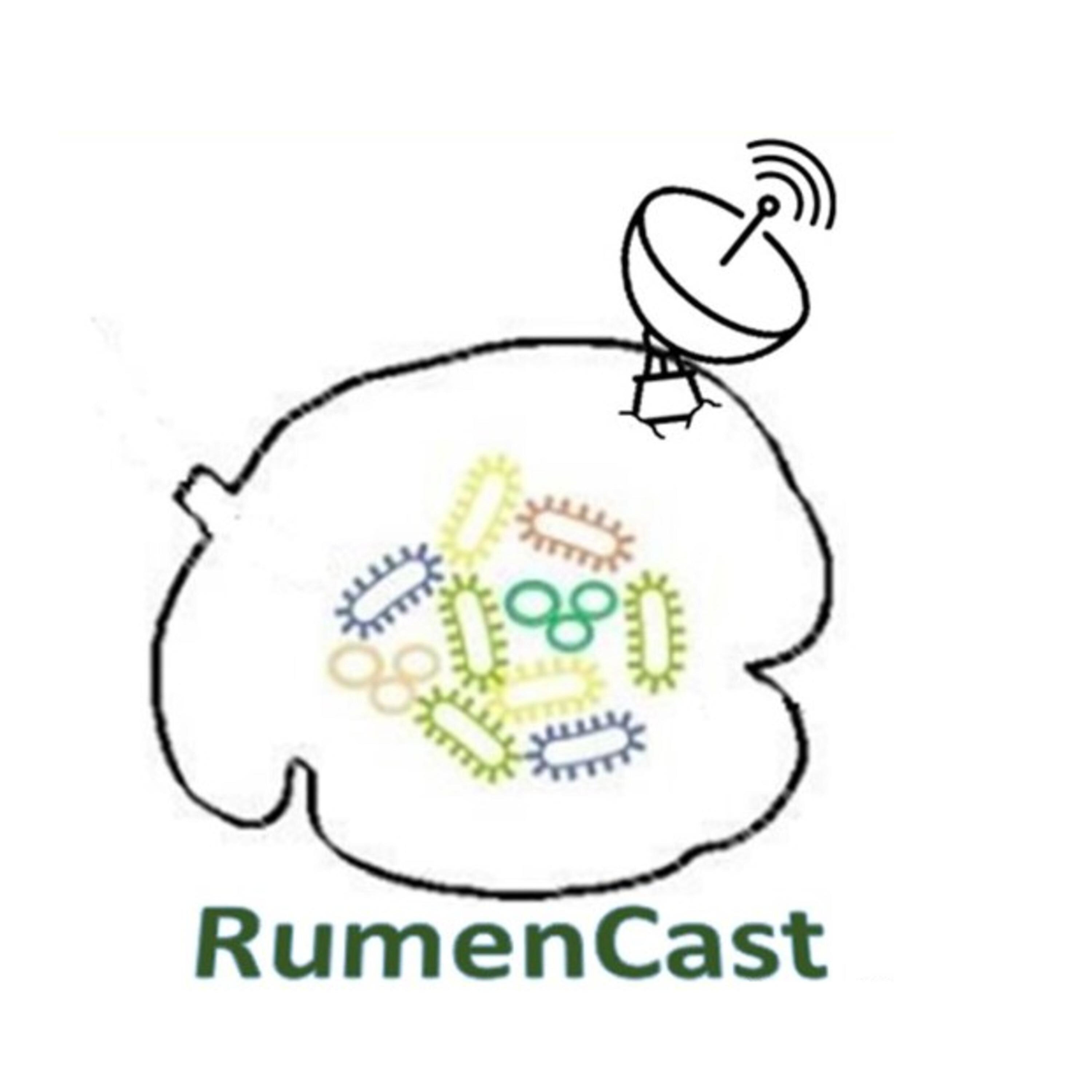 RumenCast