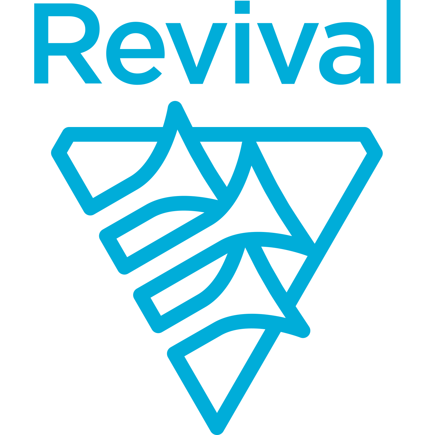 The Revival Fellowship NSW & ACT
