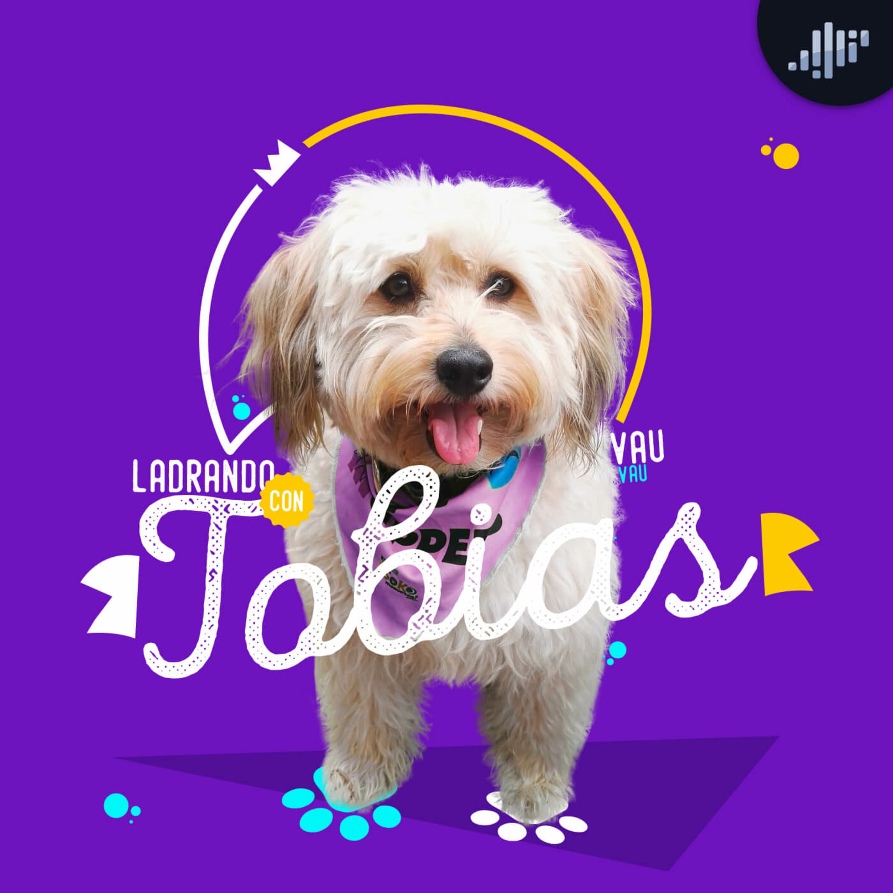 Ladrando con Tobias | PIA Podcast