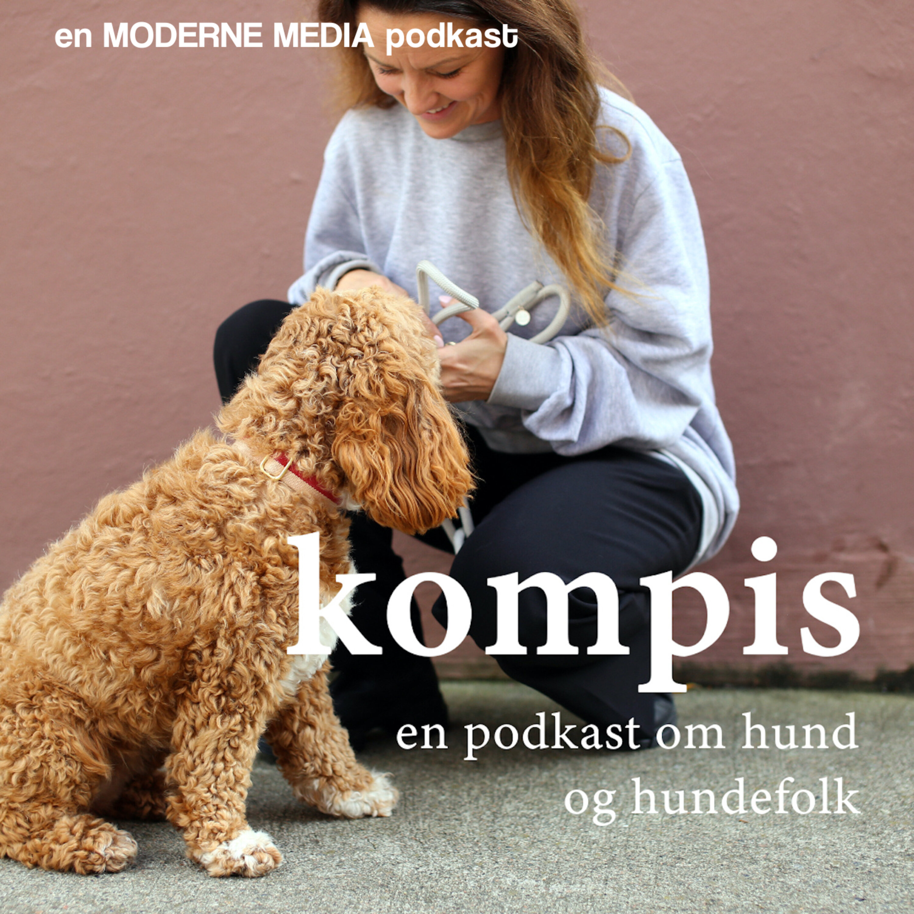 Kompis podcast artwork