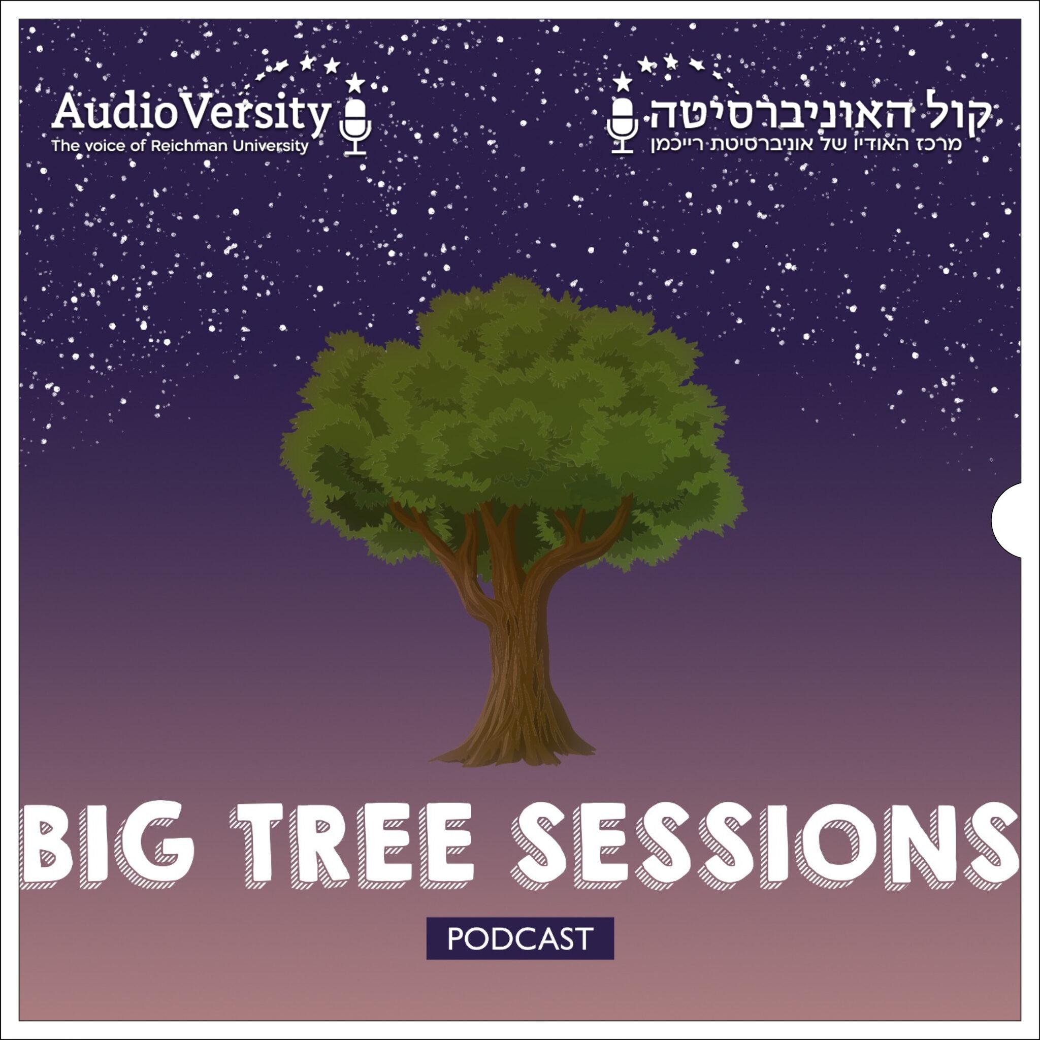 The Big Tree Sessions
