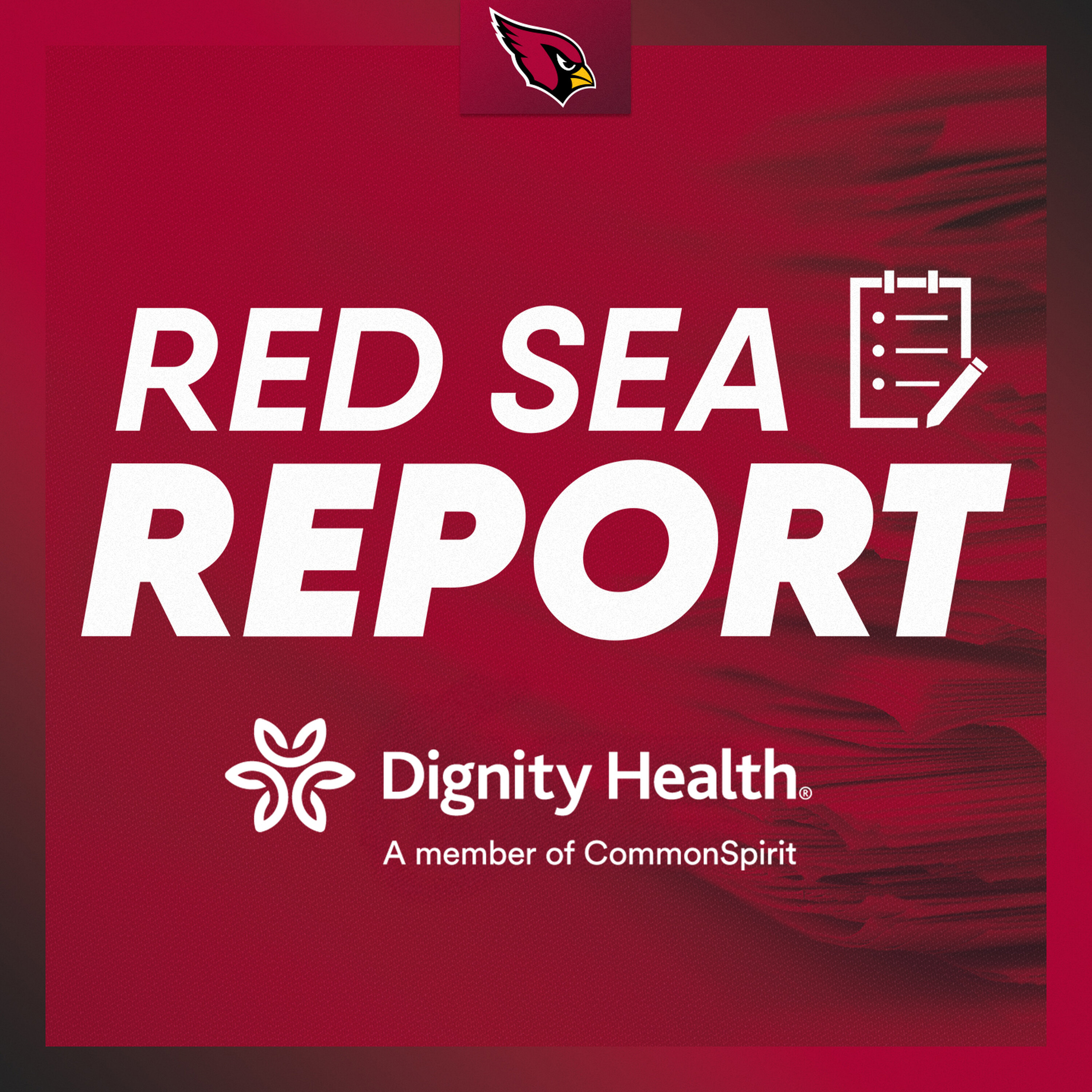 Red Sea Report - Cardinals Rookies Adjusting To NFL Life episode artwork