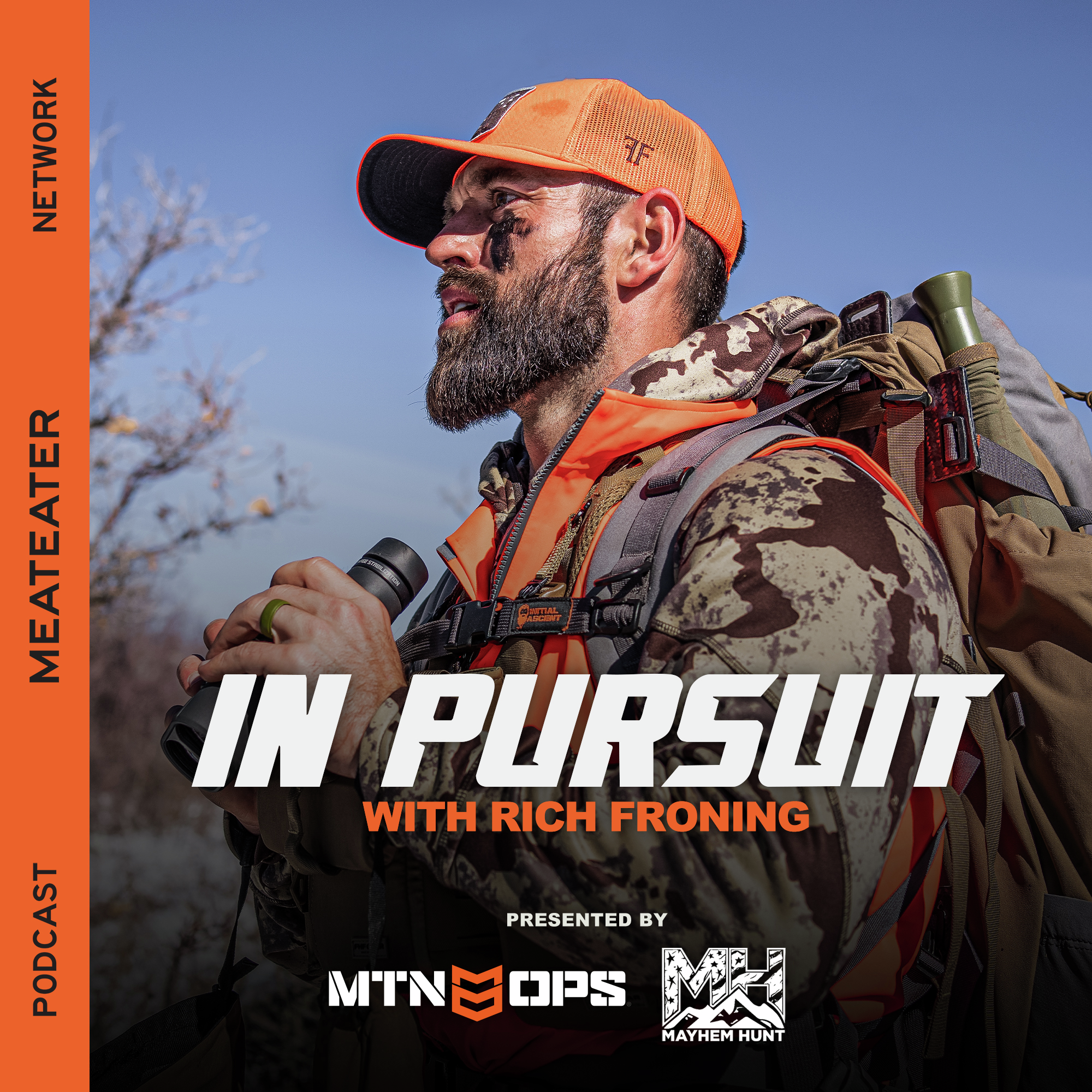 In Pursuit Artwork
