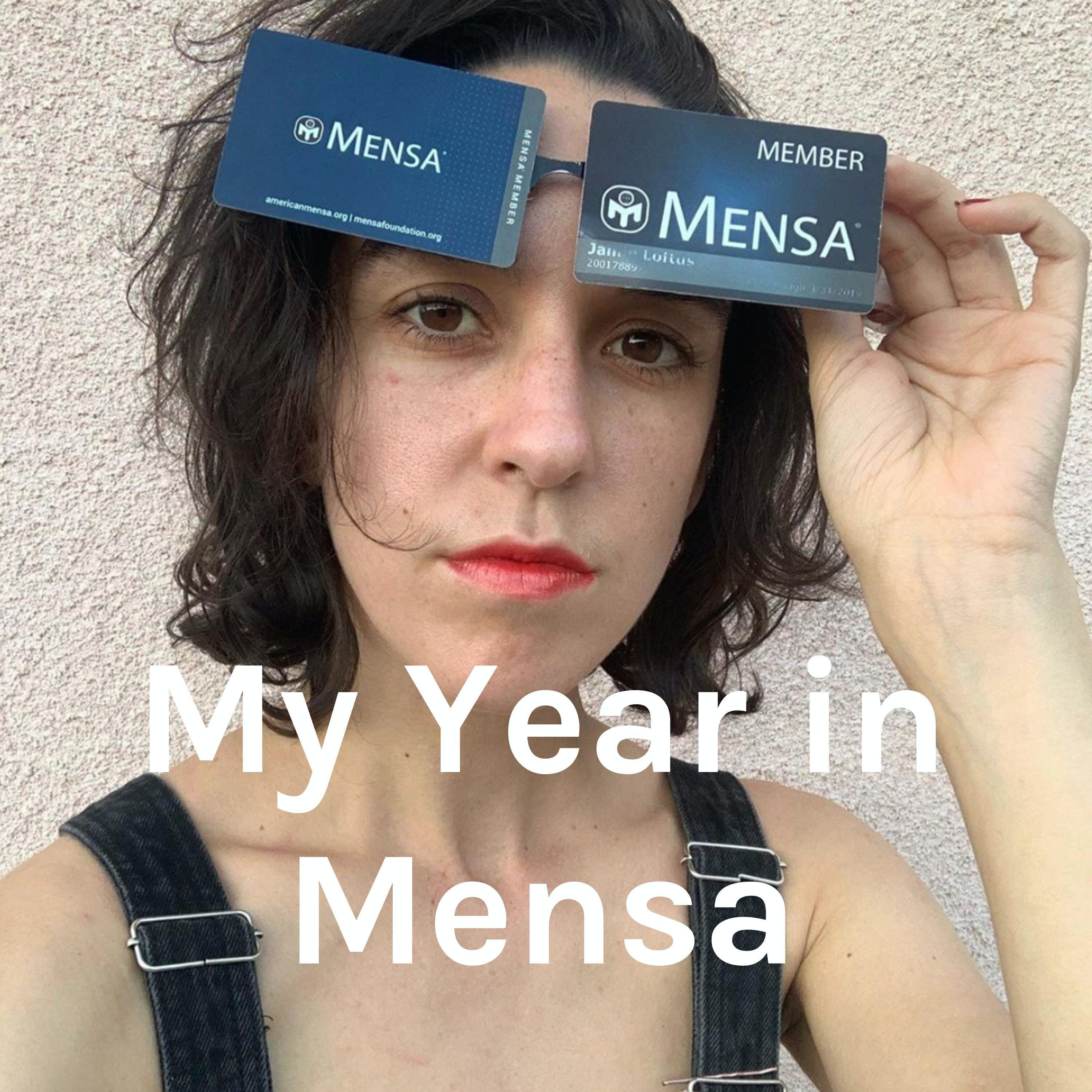 My Year in Mensa podcast show image