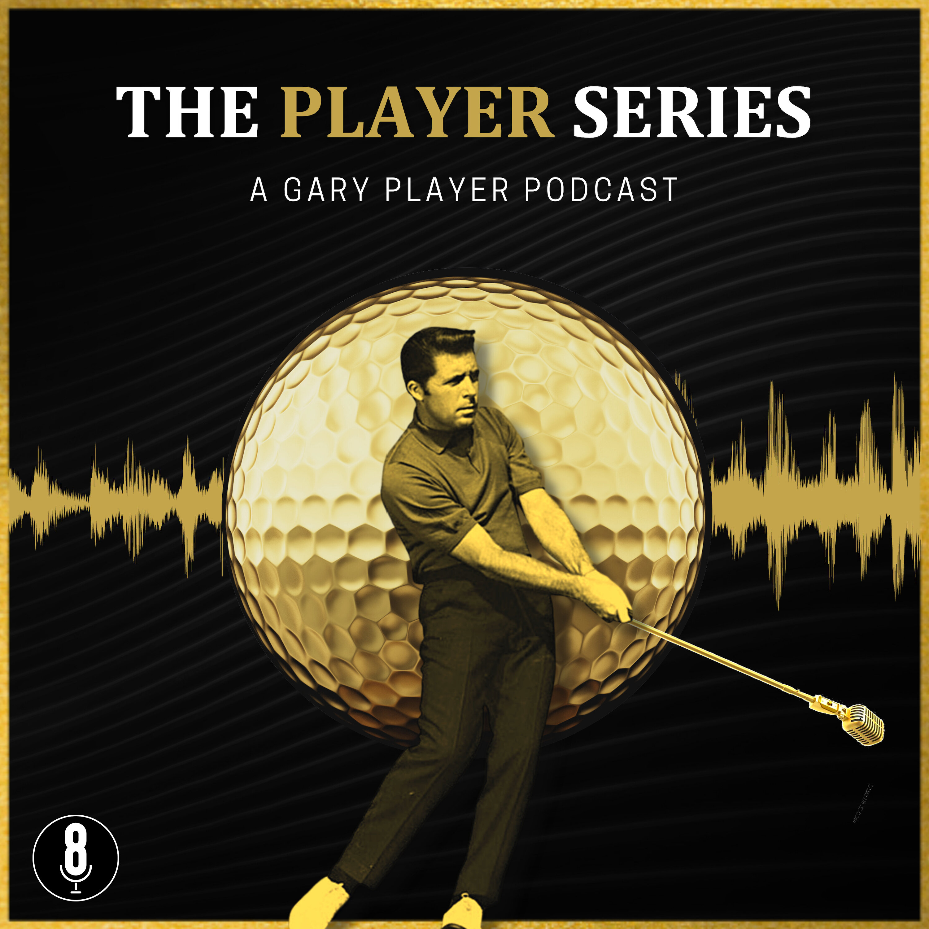 The Player Series podcast show image