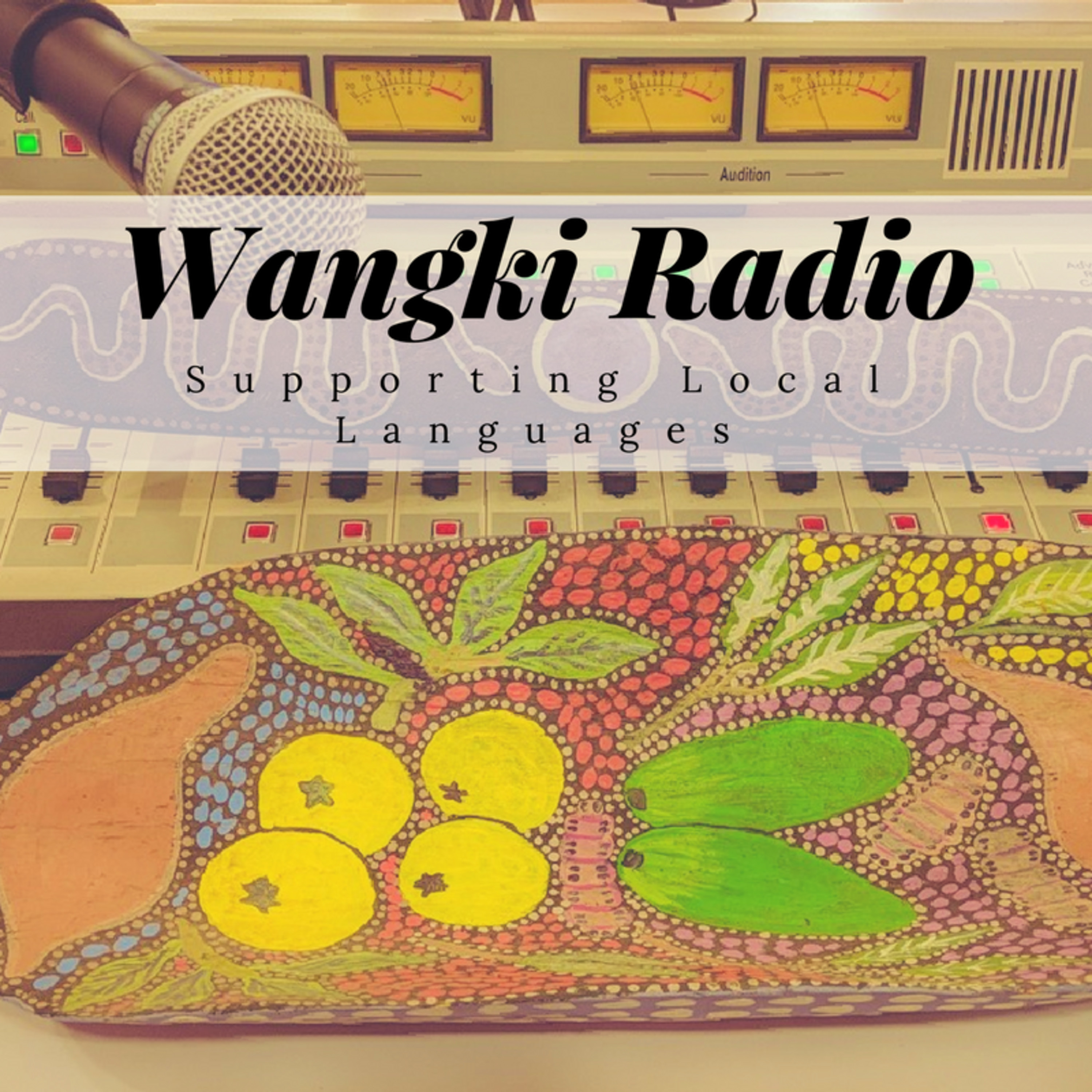 Language On Air - Fitzroy Valley Languages