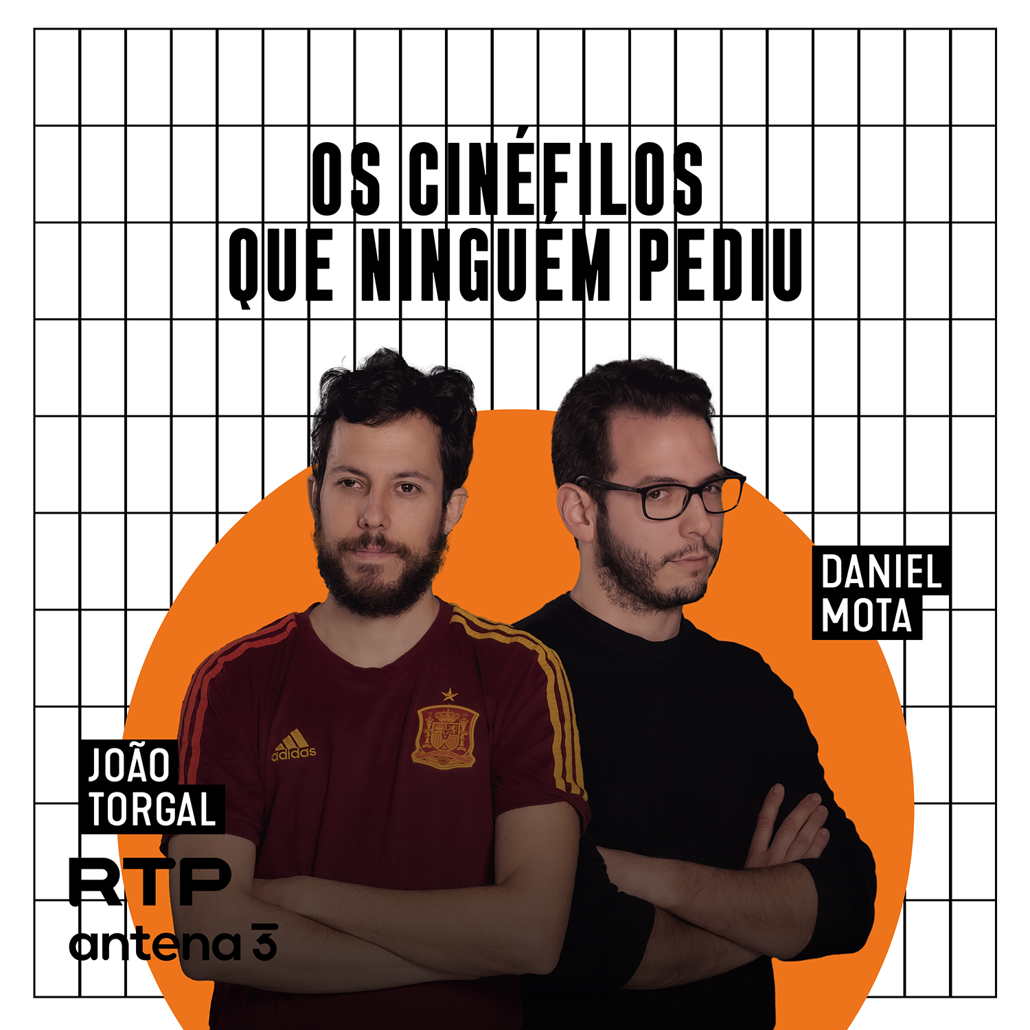Podcast Image