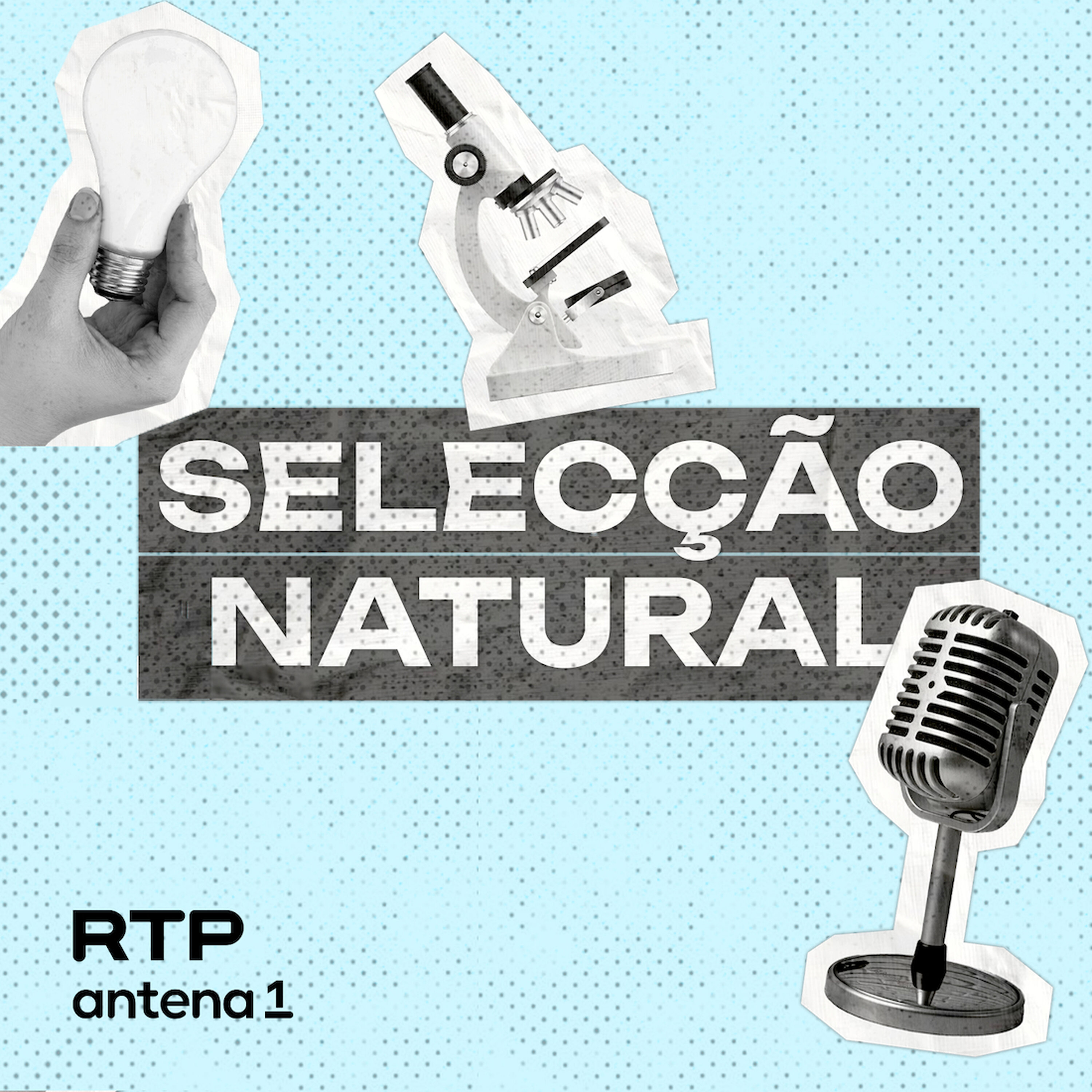 Selecção Natural
